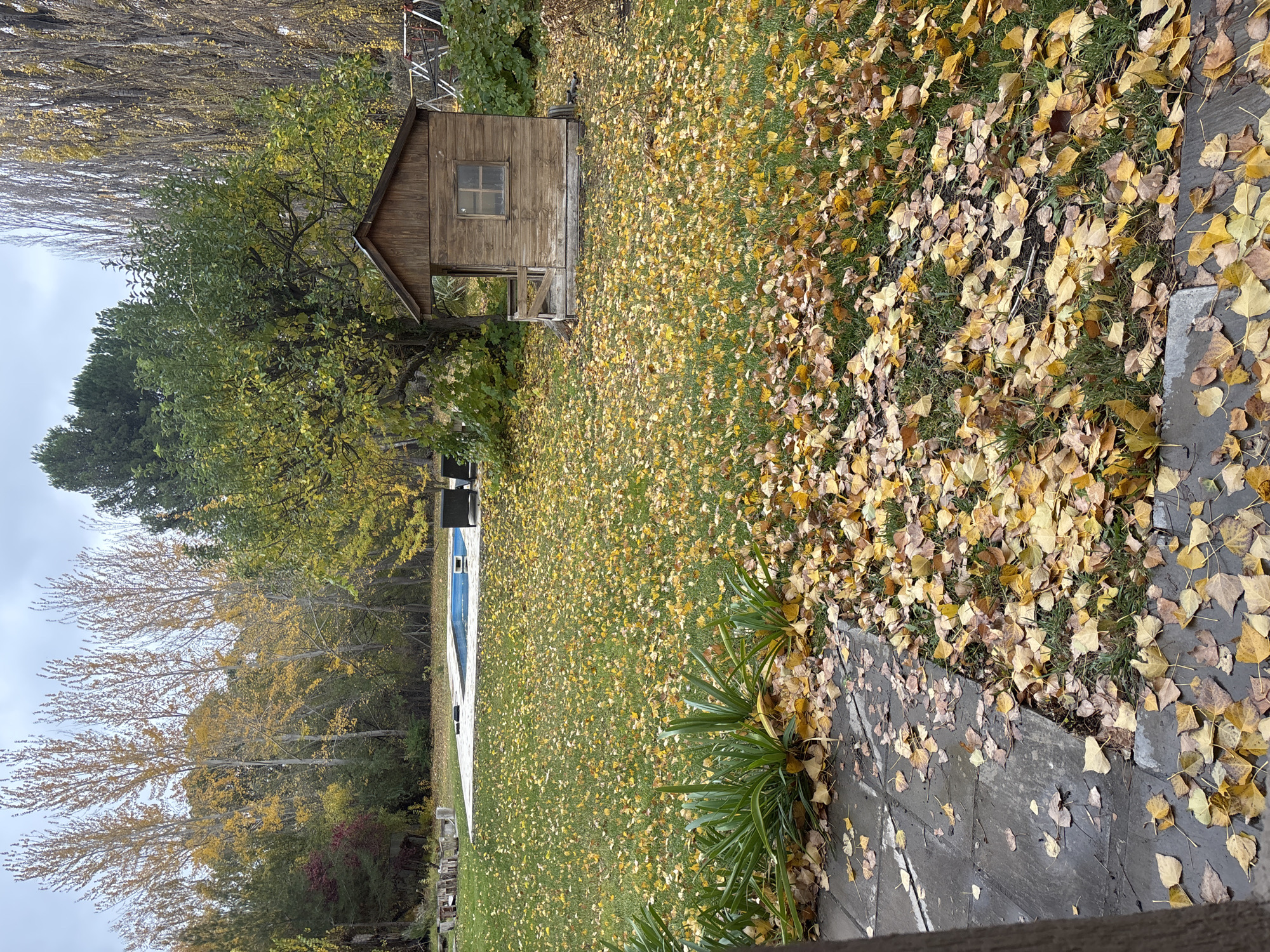 The image depicts an outdoor scene in Trelew, Argentina, likely during the autumn season. The ground is covered with fallen yellow leaves, suggesting a deciduous tree population. A small wooden structure, possibly a shed or playhouse, stands near a tree with mostly green leaves. Further in the background, a swimming pool is visible, surrounded by a white deck or concrete area. Beyond the pool are more trees with bare branches. The sky is overcast, indicating possible inclement weather. There are no people visible in the scene. A plant with long green leaves is growing in the foreground near a grey stone paved area.