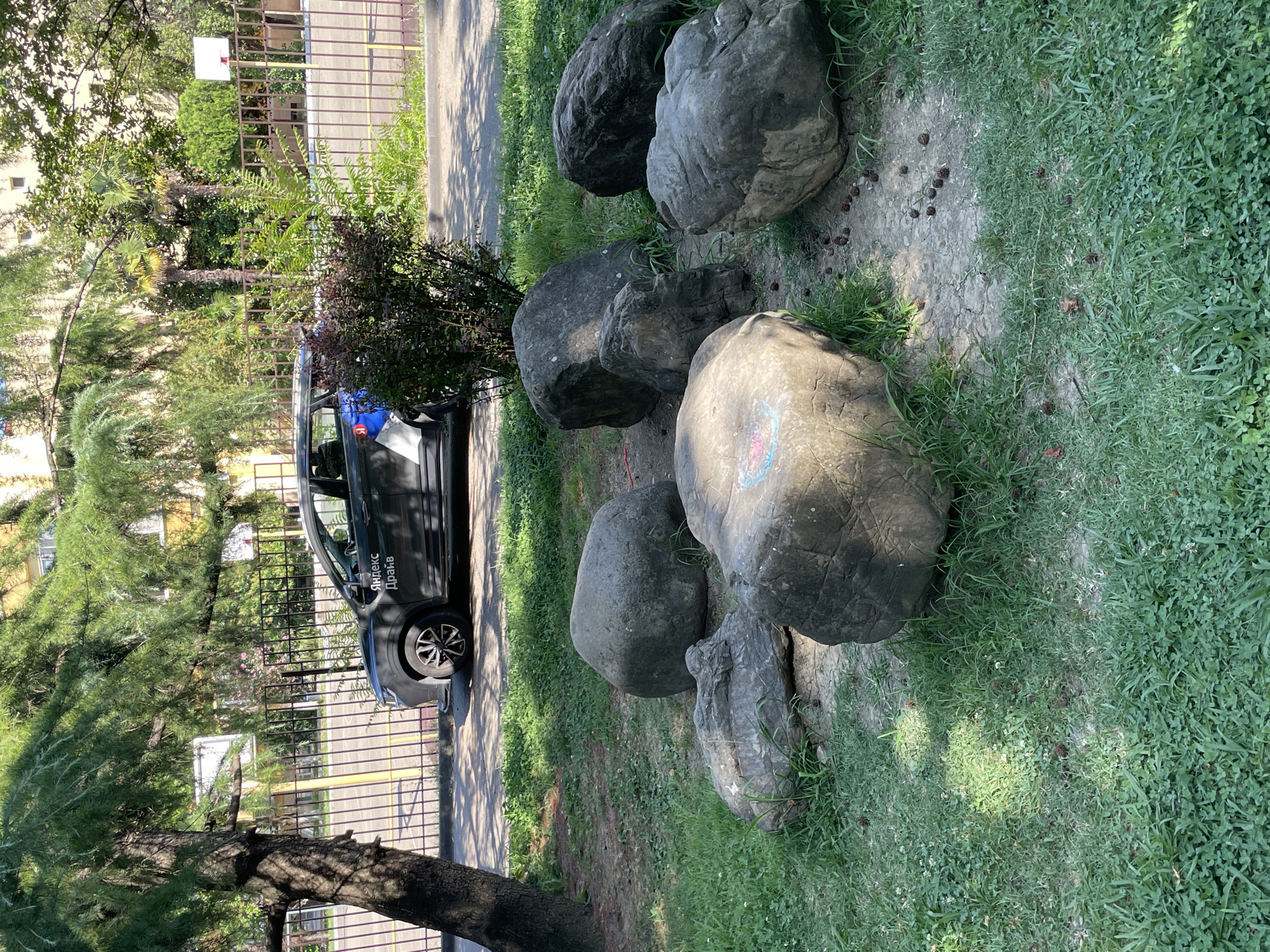 In Sochi, Russia, on a sunny day, a dark grey car with "Яндекс.Драйв" branding is parked near a fence surrounding a basketball court. The court has a white backboard. In the foreground, a cluster of large, weathered boulders rests on a patch of green grass interspersed with dry dirt and scattered pinecones. A mature tree with dense foliage shades part of the scene. In the background, a light-colored building with visible windows is partially obscured by trees.