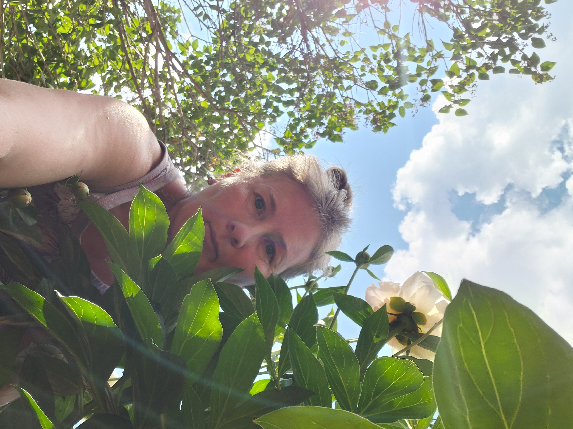 The image shows a low-angle selfie taken outdoors on a sunny day in Novosibirsk, Russia. A woman with gray hair pulled back and wearing a light-colored tank top is partially obscured by large green leaves and a white flower. Her face is visible on the left side of the frame, looking towards the camera. In the background, a bright blue sky with white clouds is visible, as well as the branches of a tree with green leaves. The lighting suggests a daytime setting.