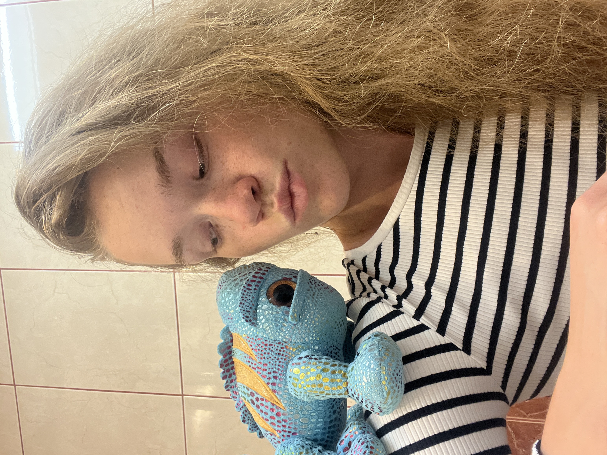 This close-up image, taken in Budva, Montenegro, features a young person tenderly interacting with a colorful stuffed toy. The original photograph is oriented with a 90-degree counter-clockwise rotation.
The subject is a young individual with long, flowing blonde or light brown hair that cascades around their face. Their complexion is fair, with noticeable freckles dusted across their nose and cheeks. Their eyes are cast downwards or closed, creating an impression of quiet focus or gentle affection directed towards the toy. They are dressed in a ribbed top patterned with horizontal black and white stripes.
Held prominently in the foreground is a plush toy shaped like a chameleon or lizard. The toy is predominantly bright blue, adorned with intricate gold and reddish-orange patterns across its textured surface, and features large, dark, round eyes.
The background reveals a simple indoor setting, characterized by light-colored, possibly beige or off-white, rectangular wall tiles segmented by thin reddish-brown grout lines. The lighting in the scene appears soft and bright, consistent with indoor daytime conditions. The overall atmosphere of the image is calm and intimate, focusing on the personal moment between the individual and their toy. There is no visible text in the image.