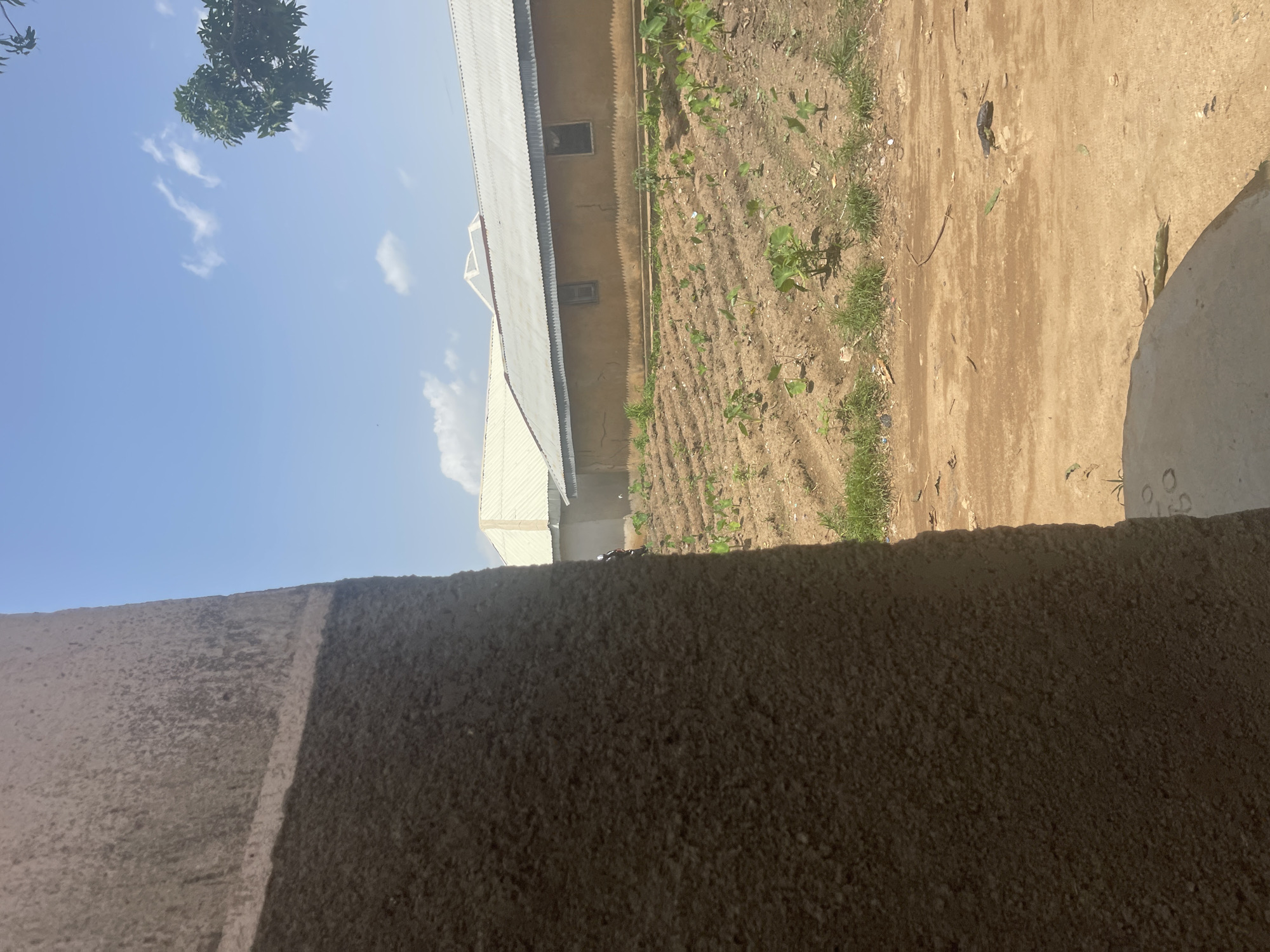 The image depicts an outdoor scene in Rafin Par, Nigeria. In the foreground, a rough-textured concrete wall runs horizontally across the bottom of the frame. Behind this wall, a partially visible building with a corrugated metal roof and yellowish walls is present. The building has two windows with dark frames. Adjacent to the building is a cultivated field with rows of young green plants growing in brown soil. The field is bordered by dry earth and patches of green grass. A tree with green leaves is visible in the upper left portion of the image against a clear blue sky with scattered white clouds. The lighting suggests it is daytime, likely sunny given the shadows. There is no visible text in the image. The scene appears to be a rural or semi-rural environment, possibly a residential area or small farm. No people or specific events are clearly identifiable.