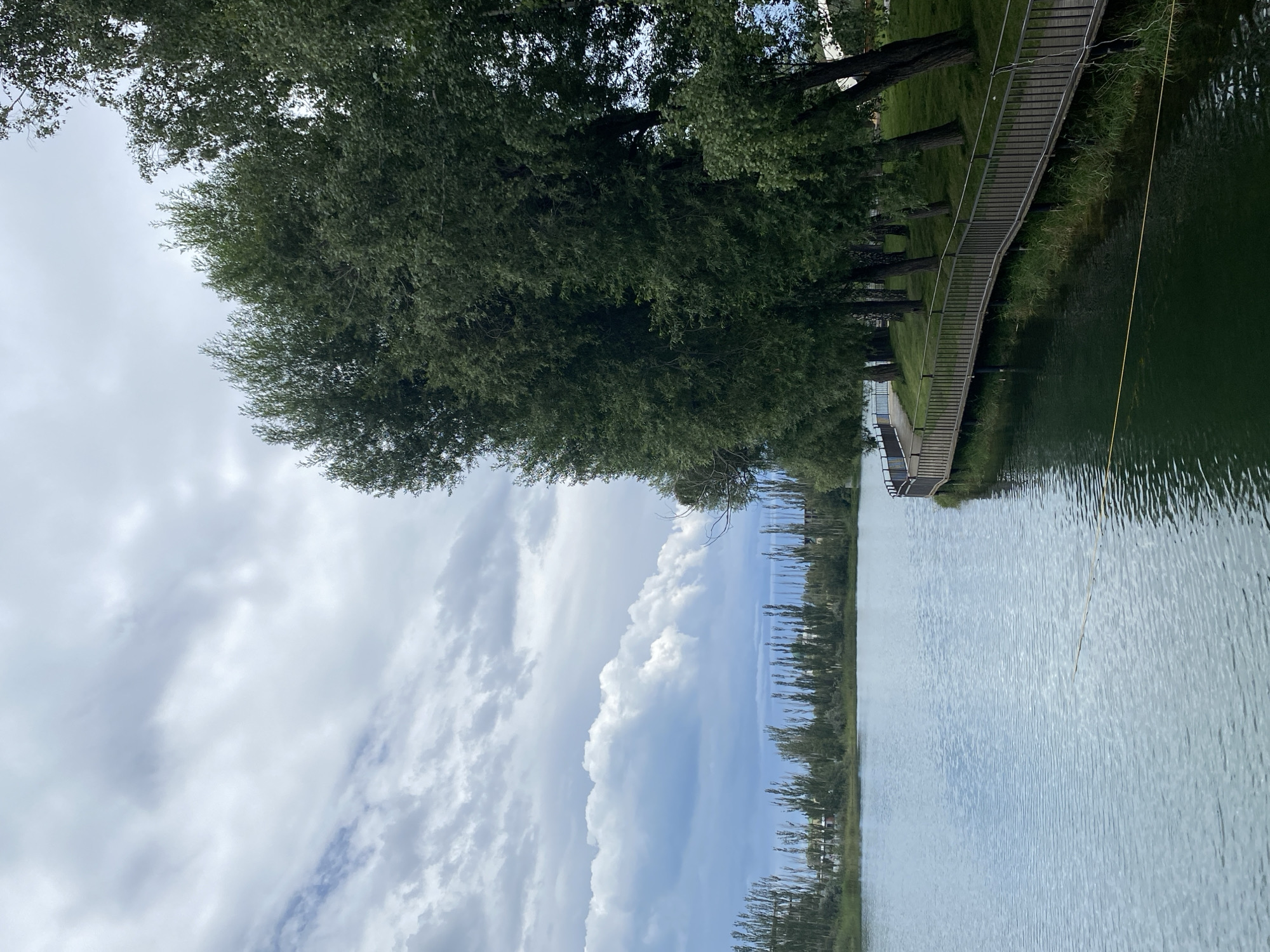 The image depicts a serene waterside scene in the city of Cholpon-Ata, Kyrgyzstan, likely during daytime under overcast skies. A calm, greenish-blue lake occupies the left and lower portions of the frame, its surface rippling gently. On the right, a curved wooden boardwalk with a dark metal railing follows the shoreline, bordered by a lush green lawn and a row of tall, mature trees with dense foliage. The trees, predominantly dark green, cast shadows on the grass and appear to be a significant natural element of the location. In the background, across the lake, a line of slender, tall trees forms a distant treeline, with hints of buildings or structures visible behind them. The sky above is filled with dramatic, textured clouds, ranging from light grey to darker, more voluminous formations, suggesting a potentially changeable weather pattern. No people or animals are visible in the image.