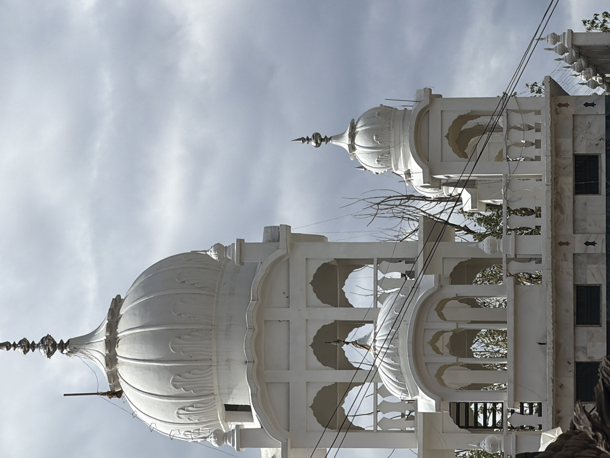 The image captures a close-up view of the upper section of a white domed structure, likely a Sikh gurdwara, under a cloudy sky in Leh, India. The architecture features multiple white domes, some with ornamental finials. The main dome in the upper left is large and ribbed, topped by a multi-tiered spire. Below it, a section of the building has arched openings and a railing. A smaller dome is visible on the right, also with a finial. Power lines are strung across the frame, obscuring parts of the structure and the sky. Bare tree branches are also visible, suggesting a dry season. The lower part of the visible structure is made of marble, with dark rectangular windows. The overall impression is one of religious architecture against a muted, overcast sky.