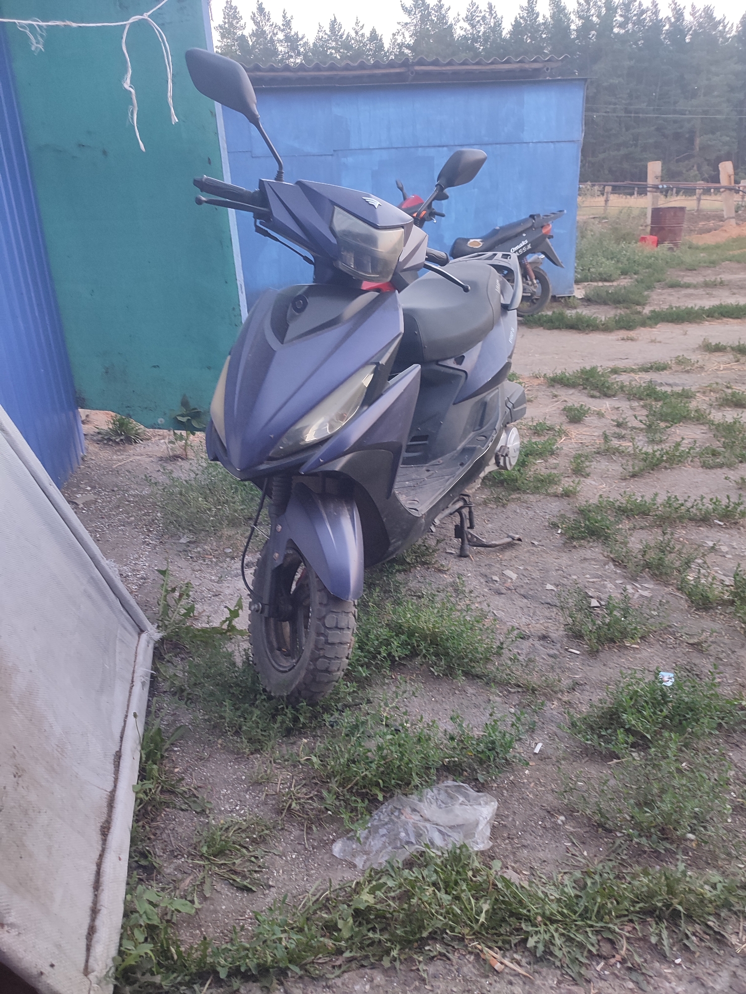 The image shows a dark blue scooter parked on an unpaved surface with sparse green vegetation. In the background, a light blue building with a dark roof is visible, with a dense line of pine trees behind it. To the left of the scooter, a light-colored corrugated metal or plastic structure is partially visible. The ground is a mix of dirt, gravel, and some dry leaves. A plastic bag is lying on the ground near the scooter. The lighting suggests it is daytime. This scene appears to be in a rural or semi-industrial area, consistent with locations outside of a major city, such as Anoshkino, Russia. There are no people or animals visible in the image.