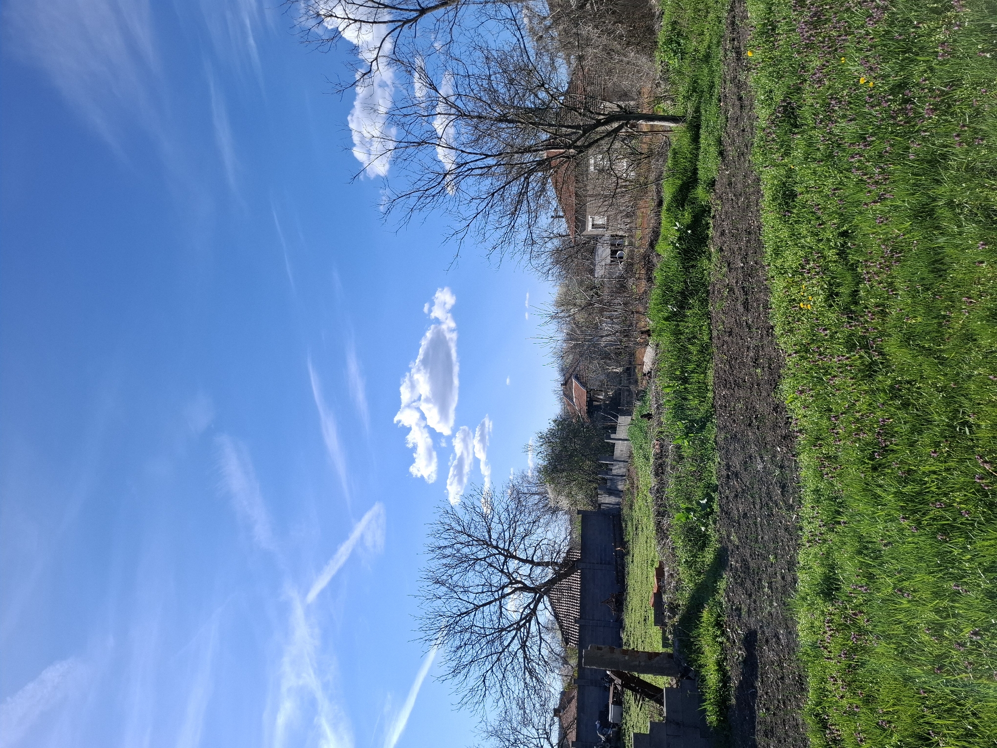 The image depicts a rural scene in Gramada, Bulgaria, under a bright blue sky with wispy clouds and contrails. The foreground shows a strip of green grass interspersed with purple flowers, bordering a path of dark, cultivated soil. Beyond the path, the scene transitions into a village setting with houses and fences partially obscured by bare trees. The buildings are a mix of aged structures with visible roofs and faded walls. Overall, the image captures a typical countryside landscape.