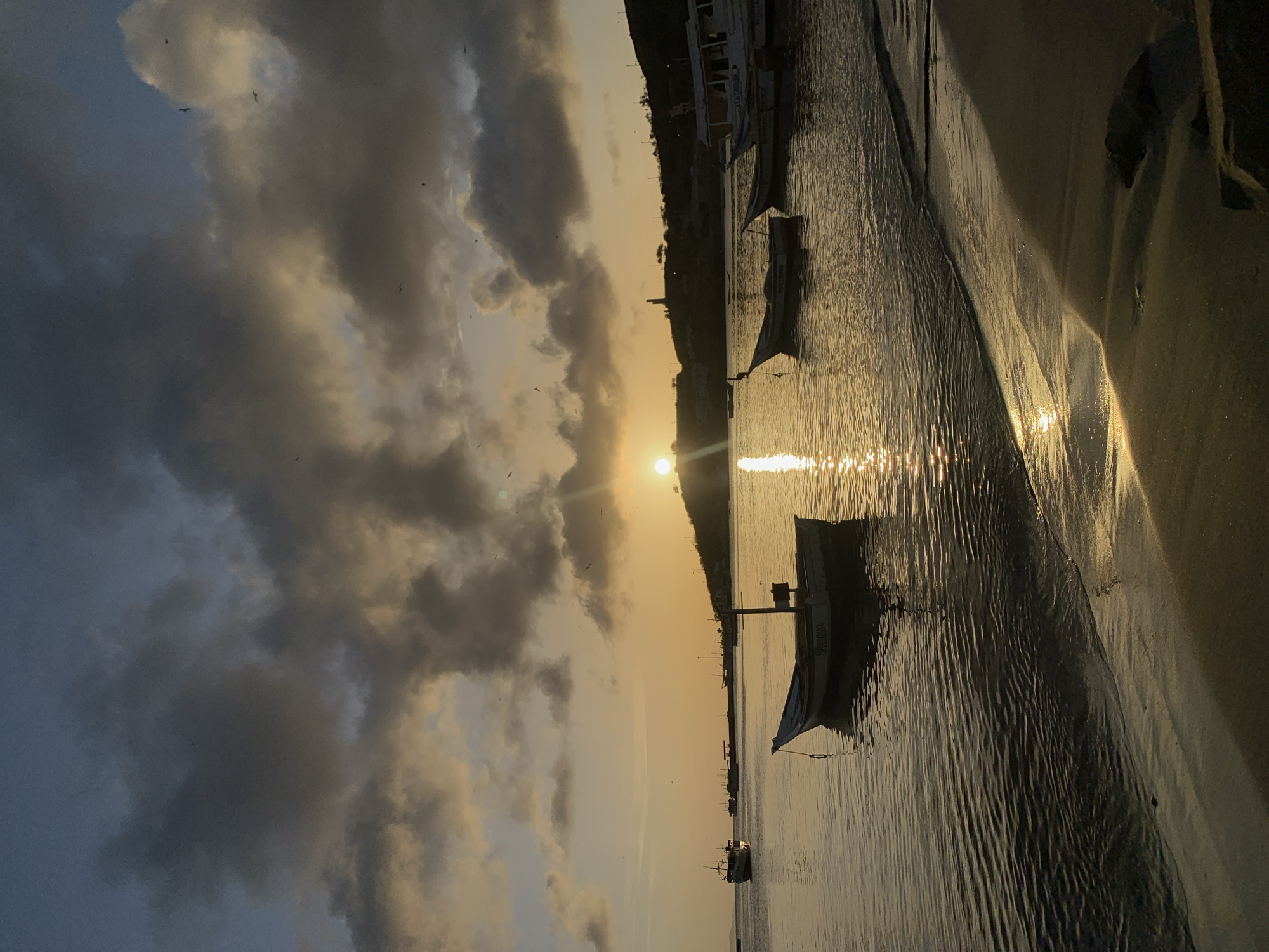 The image depicts a serene sunset scene at the bay of Juan Griego, Venezuela. The sky is a blend of warm orange and yellow hues, with dramatic dark clouds adding depth and contrast. The sun, partially obscured by clouds, casts a shimmering golden reflection on the calm water. Several small fishing boats are anchored in the bay, their silhouettes stark against the colorful sky. One boat in the foreground, a classic wooden fishing vessel, is particularly detailed, showing its structure and a faint inscription. The shoreline is visible on the right, with wet sand reflecting the sunlight. In the background, a distant hill with some structures, possibly part of the town, rises against the horizon. A few birds are seen soaring in the sky, adding to the tranquil ambiance of the coastal landscape.