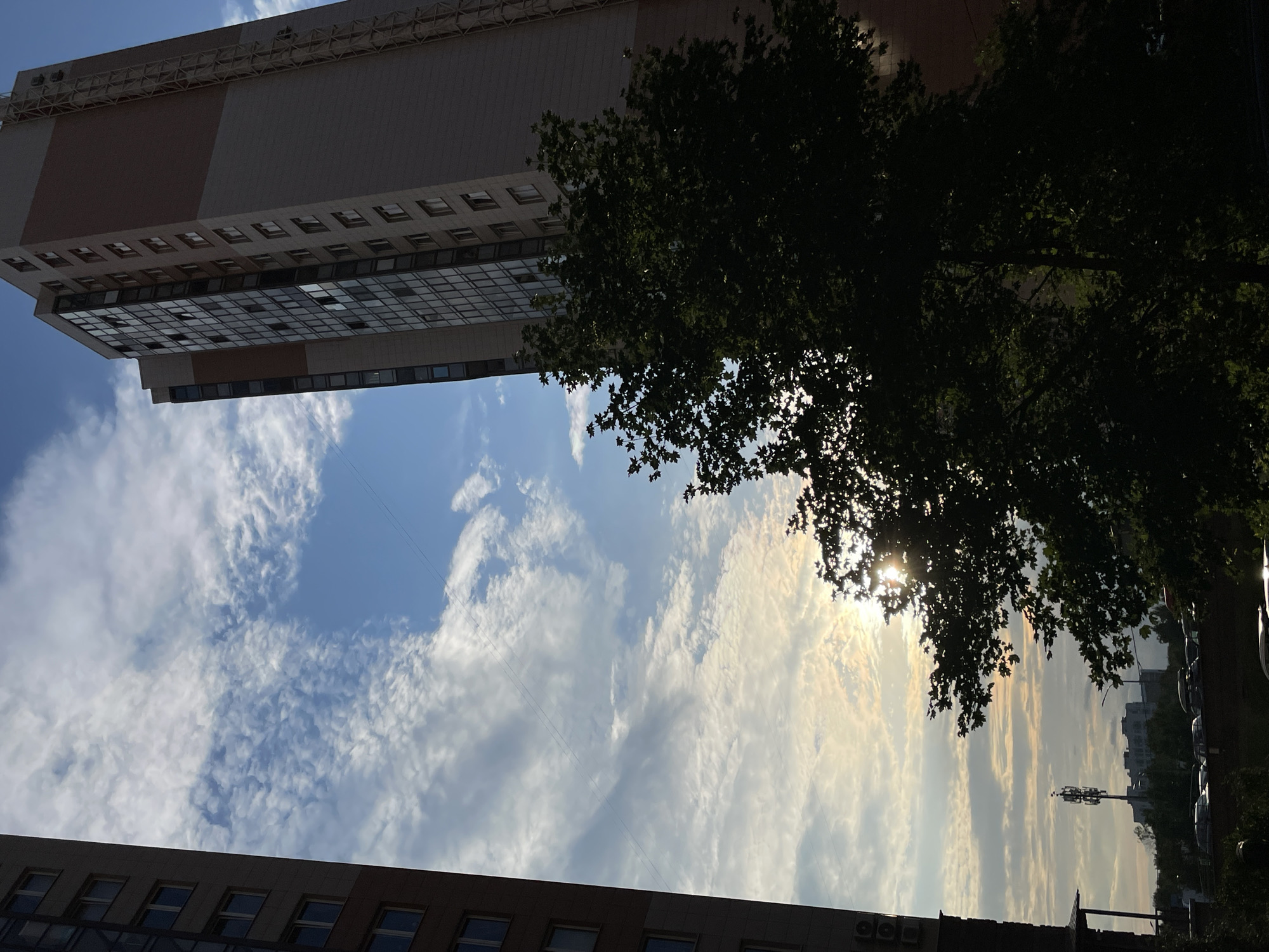 The image shows a view upwards towards a blue sky with scattered white clouds, partially obscured by the dark silhouette of a leafy tree in the foreground. Two tall, modern apartment buildings are visible on either side of the frame. The building on the right is mostly in shadow, revealing some of its facade with visible windows and a metallic structure running vertically along its side. The building on the left is also in shadow, showing a section of its exterior with windows. The sun is setting or rising, creating a bright glow behind the tree and partially illuminating the clouds. In the distance, other buildings and a telecommunications tower can be seen. The scene appears to be an urban environment, likely a residential area. The location is the city of Saint Petersburg, Russia.