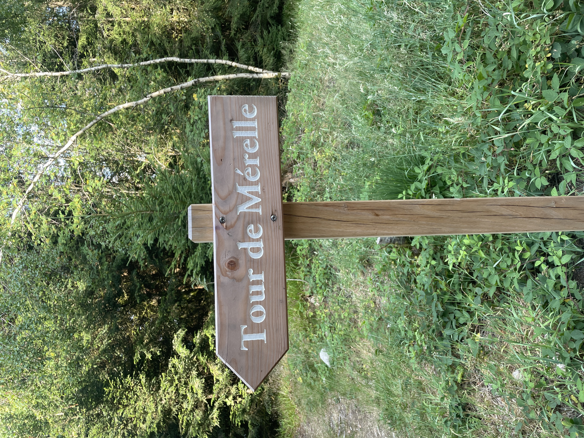 A wooden signpost in Gérardmer, France, points left, indicating "Tour de Mérelle". The sign is made of light-colored wood with carved, white lettering. It is attached to a vertical wooden post. The background consists of dense green foliage, including trees and undergrowth, suggesting a natural or forested area. The lighting indicates it is daytime.