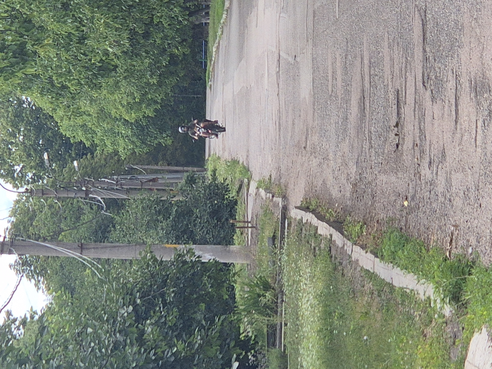 A person on a motorcycle is riding down a paved road in Sozonivka, Ukraine. The road is lined with trees and utility poles. The rider is wearing a helmet and dark clothing. The motorcycle is red and black. The road appears to be in disrepair, with visible cracks and potholes. The environment is lush and green, suggesting a warm season. The image is taken from a slightly elevated perspective.