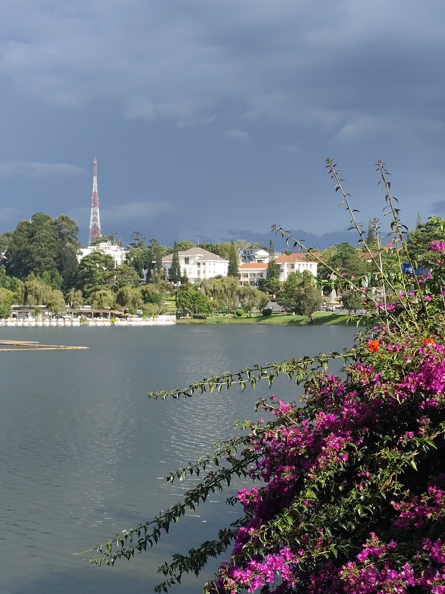 The image shows a scenic view of Xuan Huong Lake in Da Lat, Vietnam. In the foreground, a dense bush of vibrant pink bougainvillea flowers and green foliage occupies the lower right portion of the frame, partially obscuring the view. The lake's calm, dark blue water fills the lower half of the image, with subtle ripples reflecting the sky. Across the lake, a lush green embankment is lined with trees and various buildings, including white structures with red roofs and a prominent white building with a beige roof. A tall, red and white radio tower stands on a hill in the background, silhouetted against a dramatic, dark, cloudy sky. The overall scene suggests a cool, possibly overcast day, with the vibrant flowers providing a striking contrast to the somber sky and serene lake.