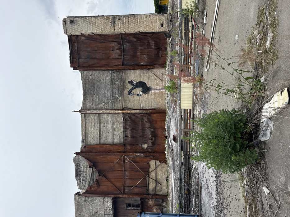 A partially demolished brick building with a mural painted on the side depicting a woman in a black dress doing a ballet pose. The building is located at 50.561° N, 30.31° E in Horenka, Ukraine. The building is made of brick and has a large, rusted metal sheet covering a portion of the wall. The wall is damaged and is missing some sections of brick. The mural is painted in black and white and is in good condition. There is a section of rubble and broken concrete between the building and the foreground of the image. The foreground is dominated by a small bush and a few scraggly weeds growing in the dirt. The sky is overcast with a hazy appearance.