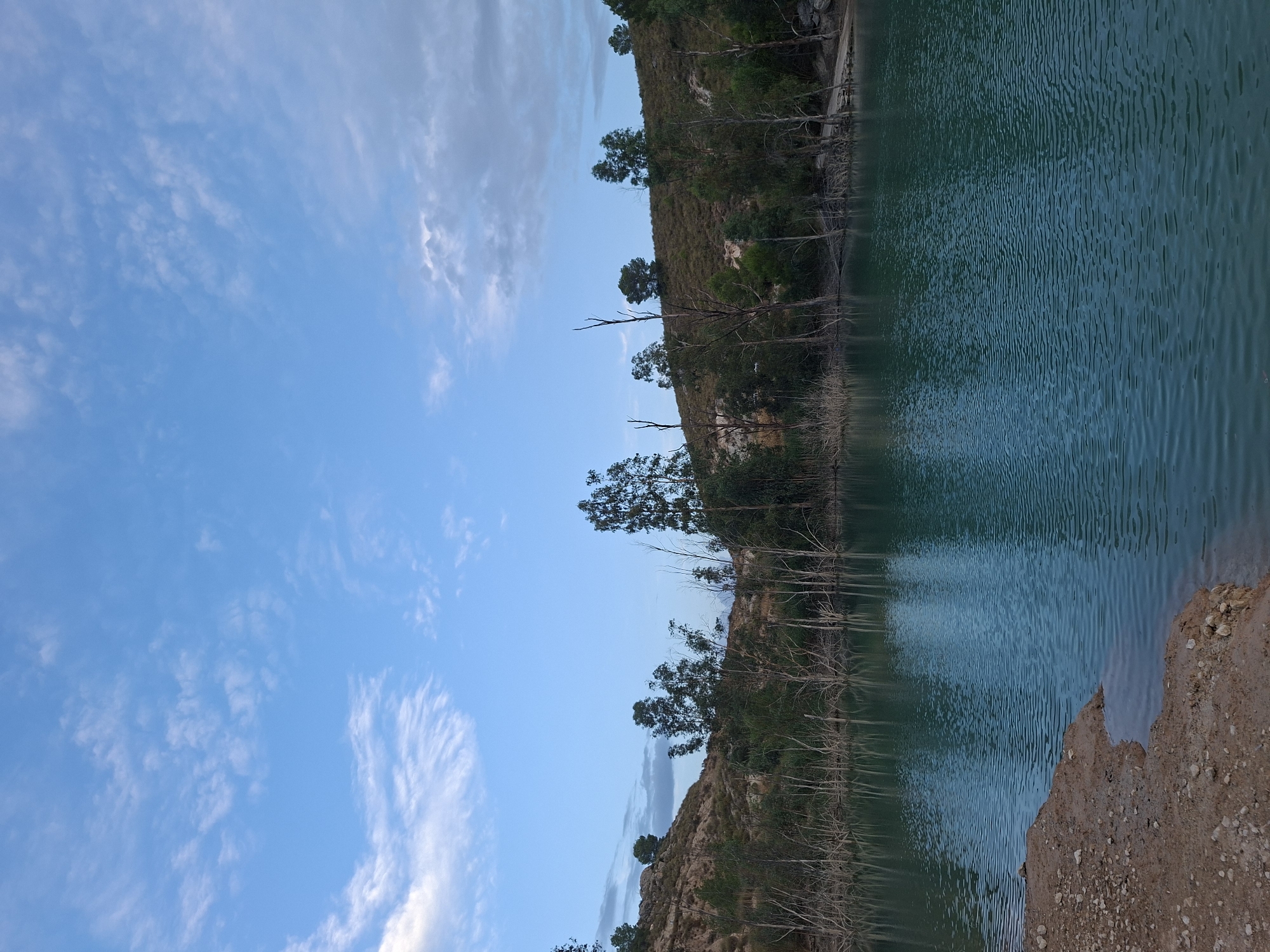 The image depicts a body of water with a tranquil surface, reflecting the sky and surrounding vegetation. The water is a striking turquoise color, with gentle ripples disturbing its otherwise smooth appearance. The foreground features a bank of reddish-brown earth mixed with small stones, leading into the water. Behind the water, a line of trees and sparse vegetation stands against a gently sloping, arid hillside. The hillside is covered in dry grasses and dotted with more trees, some appearing bare or dry. The sky above is a clear blue, with scattered, wispy white clouds. The overall scene suggests a natural landscape, possibly a reservoir or lake, in a somewhat dry, Mediterranean climate. The location is identified as the reservoir of Alguazas in the municipality of Mula, Spain. There are no people or animals visible in the frame.