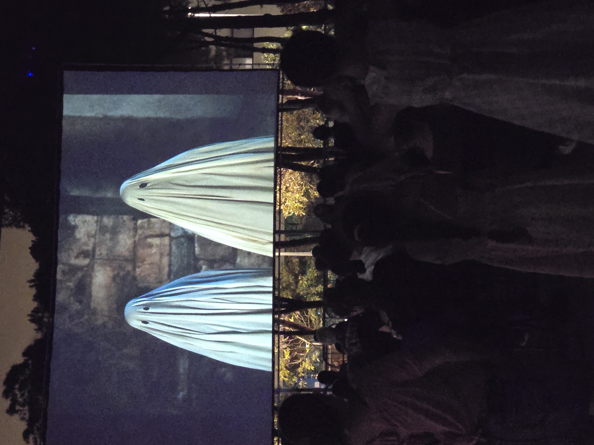 An outdoor movie screening is taking place at night, in a park setting near trees, with a large projector screen displaying an image of two figures in ghost costumes. The screen is illuminated, showing the spectral figures against a stone wall background. In the foreground, a crowd of people are seated, their faces mostly obscured by the darkness and their attention directed towards the screen. The atmosphere suggests a community event, possibly a film festival or a special screening, held in an urban park in Cornellà de Llobregat, Spain.