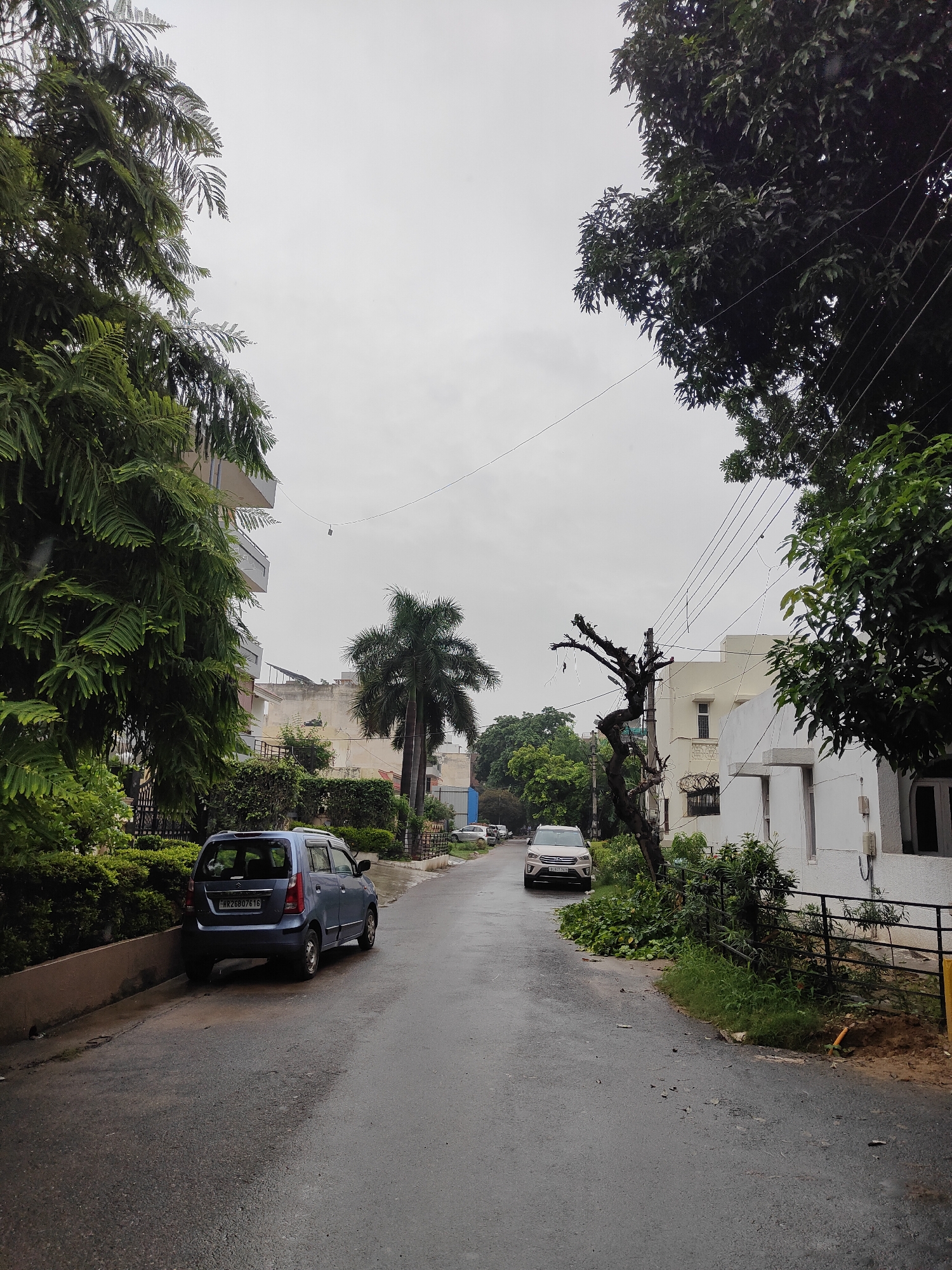 In Gurgaon, India, after a rainfall, a residential street is captured on an overcast day. A light blue hatchback is parked on the left side of the wet asphalt road, with its rear facing the camera. Further down the road, a white SUV is parked in front of a white, two-story building. Lush green trees flank both sides of the street, with one on the left showing dense foliage and another on the right with a bare, gnarled tree trunk. The sky is a uniform grey, indicating cloudy weather. A few power lines are visible overhead.
