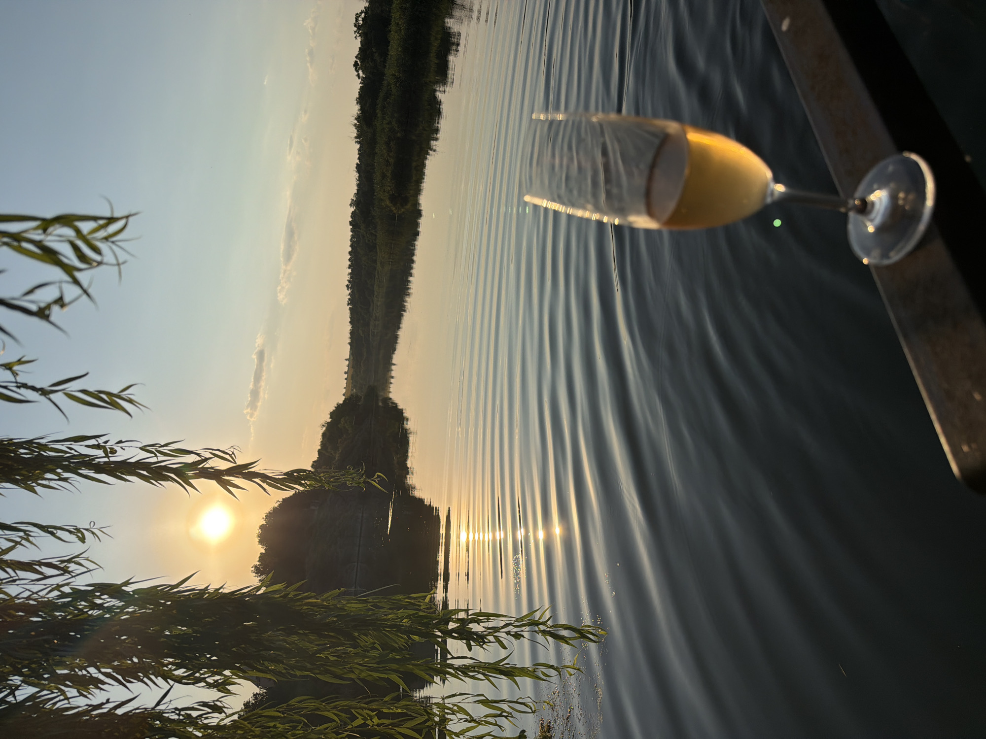 A champagne flute filled with a golden liquid is positioned in the foreground, resting on a dark railing. The flute is slightly out of focus, with its stem and base clearly visible. Behind the flute, a body of water stretches out, reflecting the soft glow of the setting sun. The water's surface is rippled, creating a textured pattern.
The sun, low on the horizon, casts a warm light across the scene, illuminating the sky with hues of orange and yellow. Lush green foliage hangs from the left side of the frame, its leaves creating a natural curtain that partially obscures the sun. In the distance, a tree-lined shore is visible, with a gentle slope leading down to the water. The overall atmosphere is serene and tranquil, evoking a sense of peaceful enjoyment.
The location is identified as Lozuvatka, Ukraine.