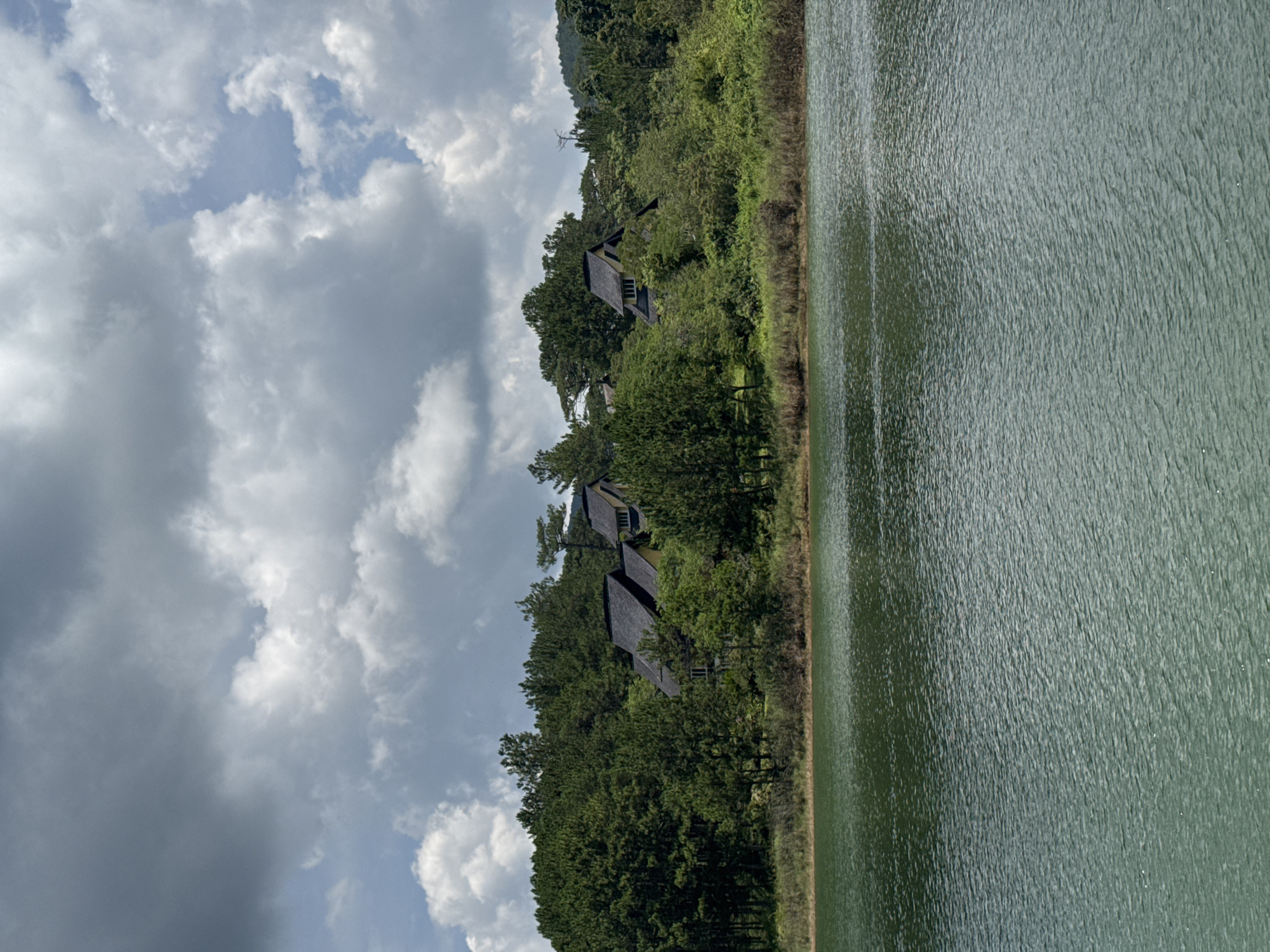 The image captures a serene landscape featuring a lake, lush greenery, and buildings nestled amidst trees, likely in Da Lat, Vietnam. The sky is filled with scattered clouds. On the right side of the image, a body of water, probably a lake, occupies a significant portion, showing subtle ripples on its surface. The water's color is a dark greenish hue. Adjacent to the lake, the shoreline is lined with dense foliage consisting of trees and shrubs. In the middle ground, buildings with dark, steep roofs are visible, partially obscured by the trees. These structures appear to be residential or resort-style accommodations. The scene is set against a cloudy sky, providing a contrast to the vibrant greenery and the tranquil lake. The image orientation is portrait, with the horizon positioned vertically.