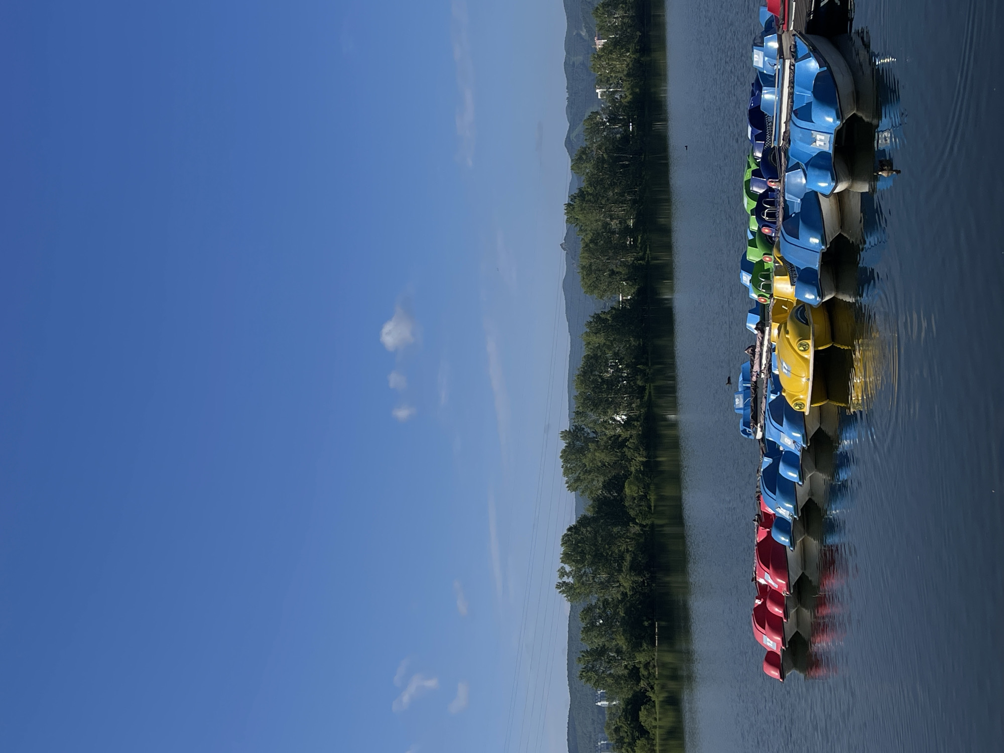 On a calm, clear day with a bright blue sky, numerous colorful pedal boats are docked on a calm body of water, likely a lake or river, in the city of Krasnoyarsk, Russia. The boats, predominantly red, blue, green, and yellow, are lined up neatly at a floating dock. In the background, a dense line of lush green trees forms the shoreline, beyond which a range of distant, hazy mountains can be seen. A few faint white clouds are scattered across the sky. The water reflects the trees and the sky, creating a serene and picturesque scene typical of a recreational area.