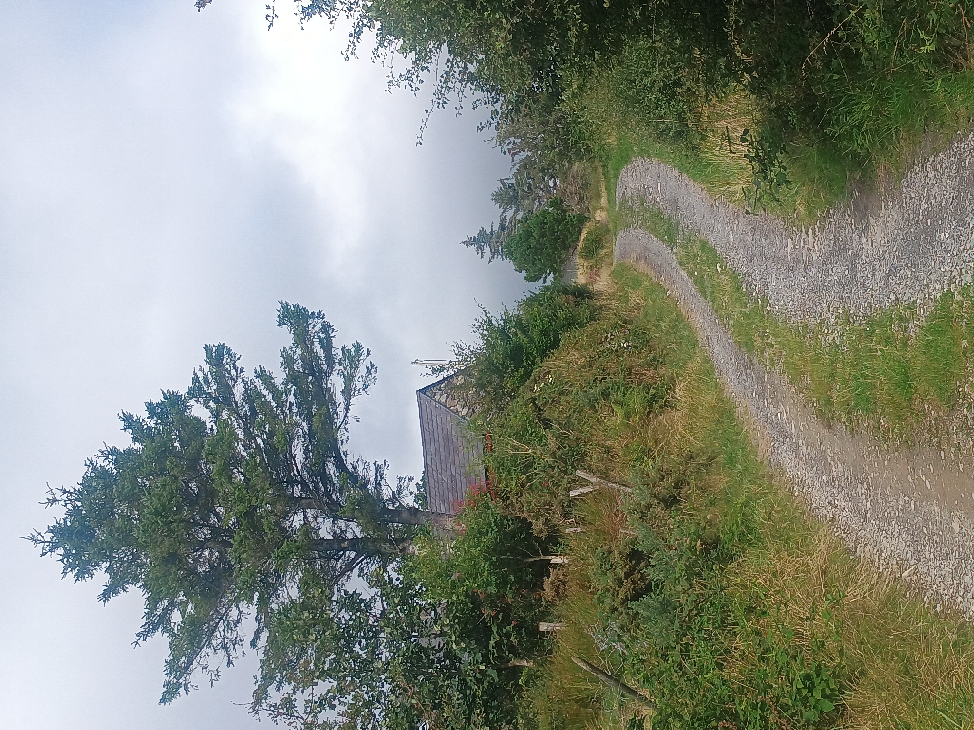 A dirt path curves through a grassy, wooded area under a cloudy sky. To the left, a large evergreen tree stands tall next to a stone building with a dark, sloped roof, partially obscured by dense foliage and smaller trees. A low, rustic wooden fence with intermittent posts runs along the edge of the path. The path is made of gravel and shows tire tracks. To the right of the path, the vegetation is thick and green, with some taller trees visible in the distance. The overall atmosphere is overcast and natural.