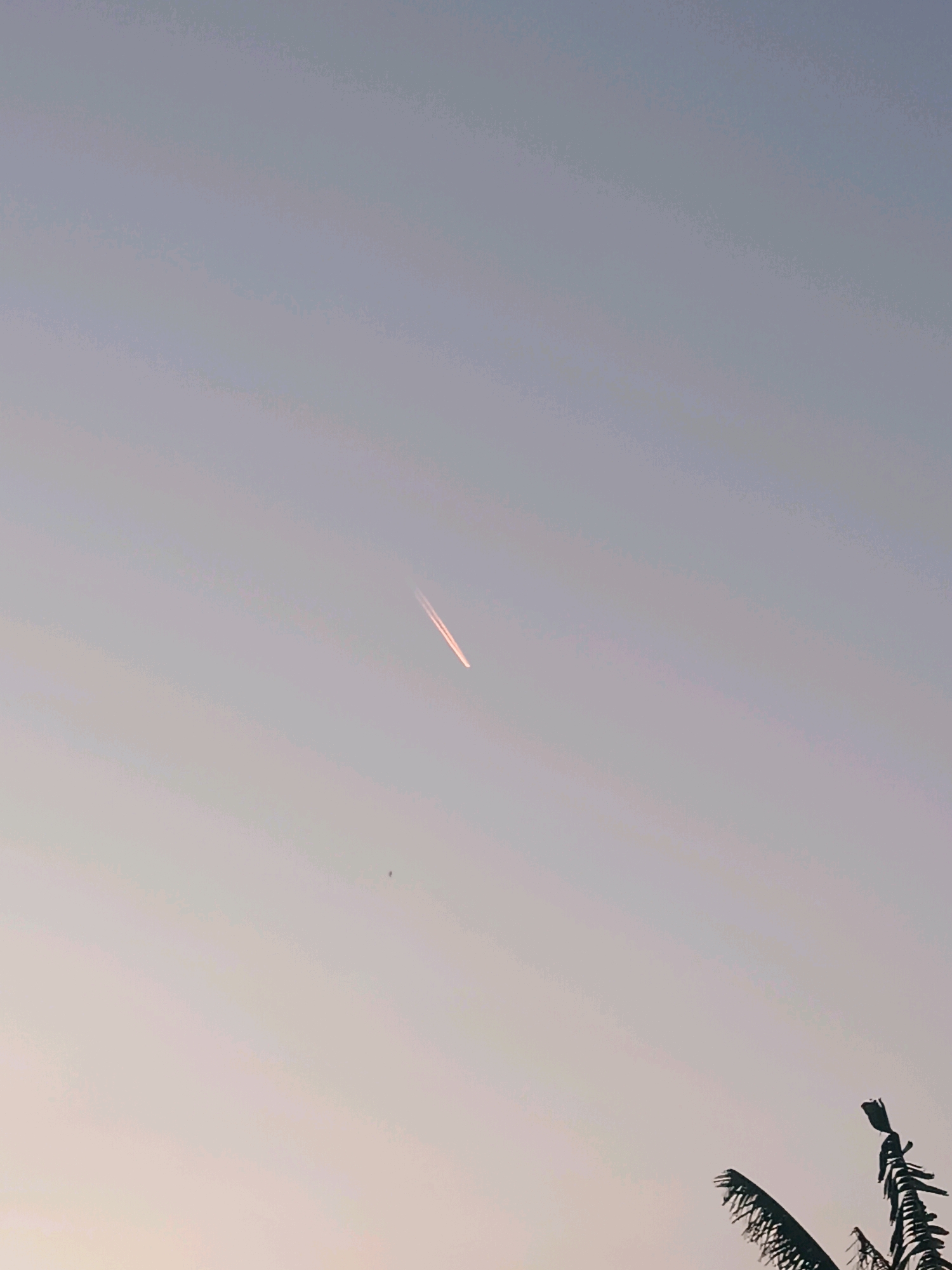 The image shows a clear sky with a contrail from an airplane visible in the upper middle section. The contrail is a thin, bright line with a reddish hue, suggesting it was captured during sunrise or sunset. The sky is a gradient of light blue to pale pink. In the bottom right corner, the tops of some palm leaves are visible, indicating an outdoor setting likely in a tropical or subtropical location. There is also a tiny dark speck, possibly a bird, in the sky. The overall scene is peaceful and serene, with the focus on the sky and the airplane's contrail. The location is specified as Tabanan, Indonesia.