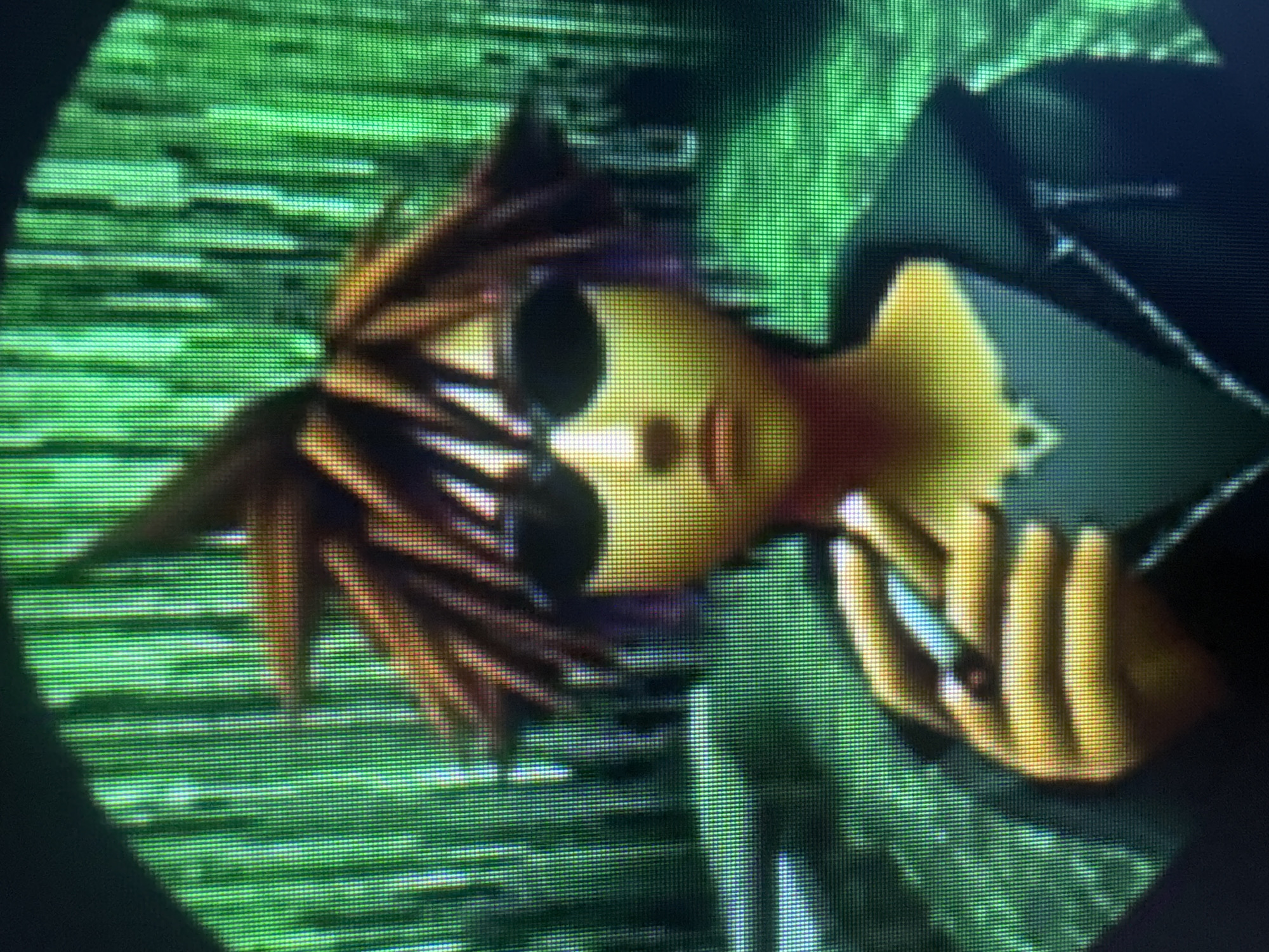 A close-up, slightly skewed image captured through a viewing device (likely a binocular or telescope), features a digitally rendered character. This character has a pale yellow skin tone and is wearing sunglasses with black lenses. The character's hair is spiky and brown. A hand is holding what appears to be a cigarette.
The background is blurred and consists of various shades of green, suggesting foliage or vegetation. The image appears to have been taken from a screen displaying a video game or digital animation. There is no specific information that leads to identifying the location as Huixquilucan de Degollado, Mexico.