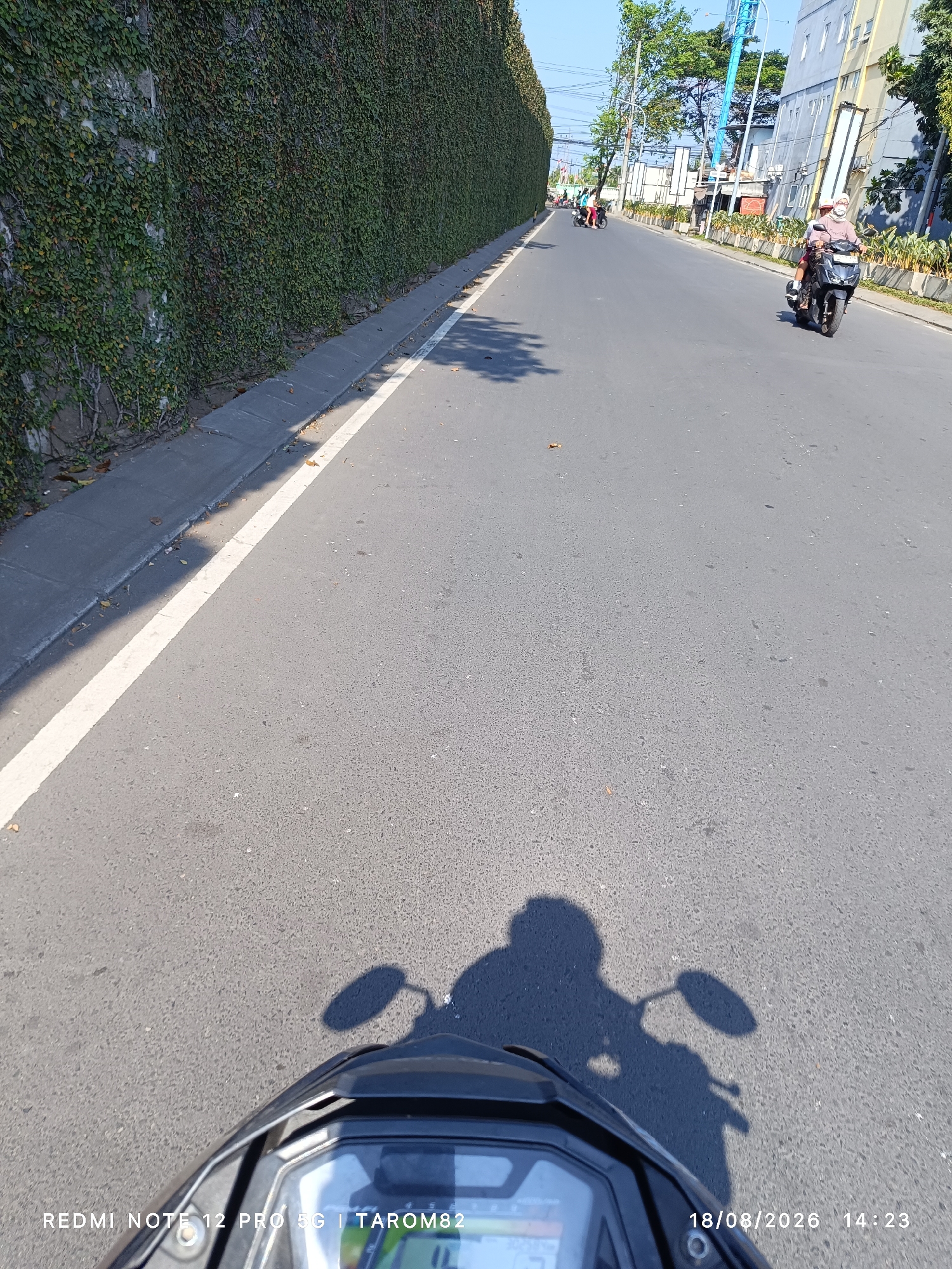 Memory