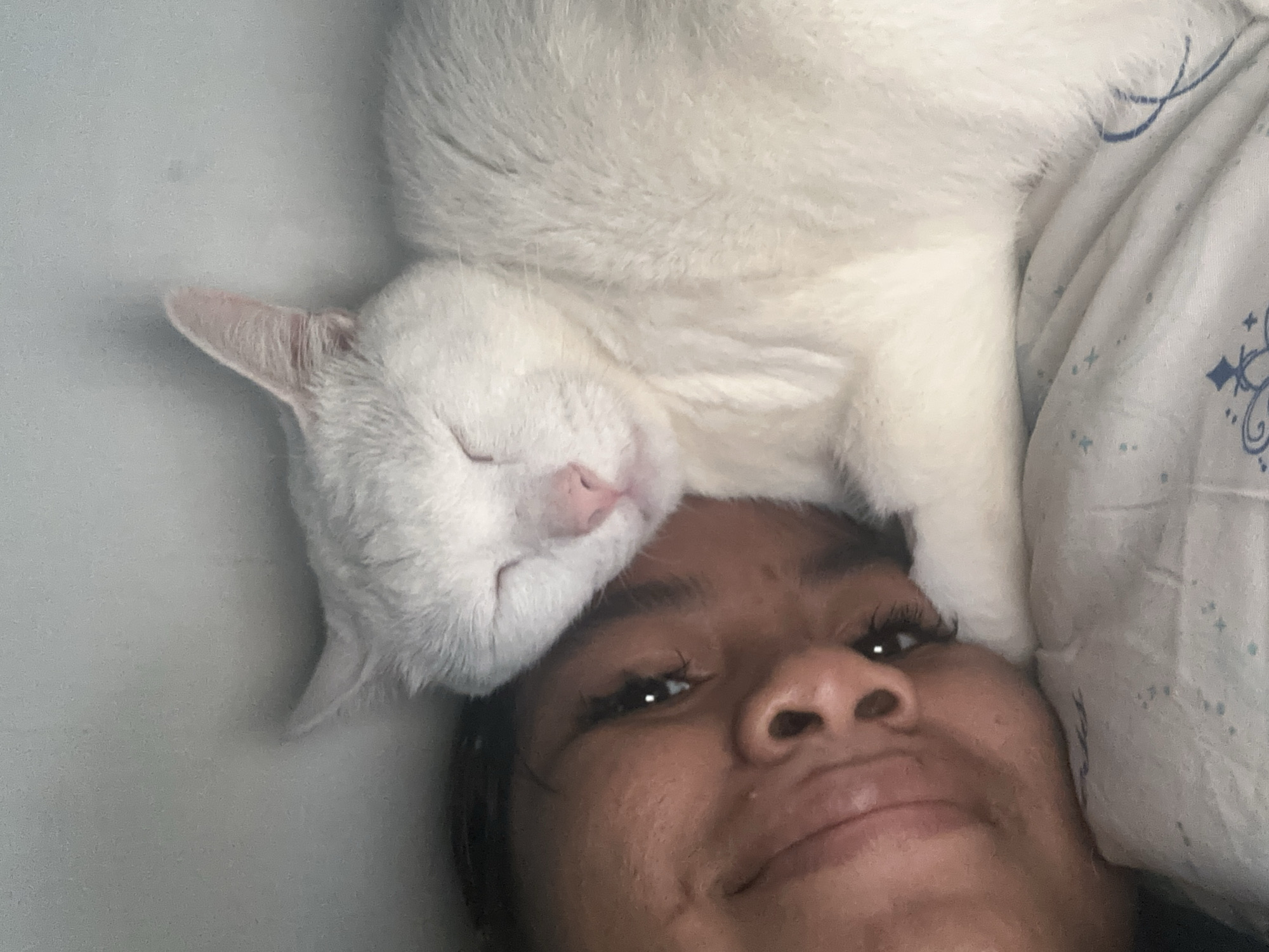 A selfie of a woman lying down, facing the camera. A white cat is lying on the woman's head, with its eyes closed. The background includes a white pillow with a blue pattern. The location is unknown and cannot be determined from the image. The city of North Jakarta, Indonesia, also cannot be confirmed from the image.