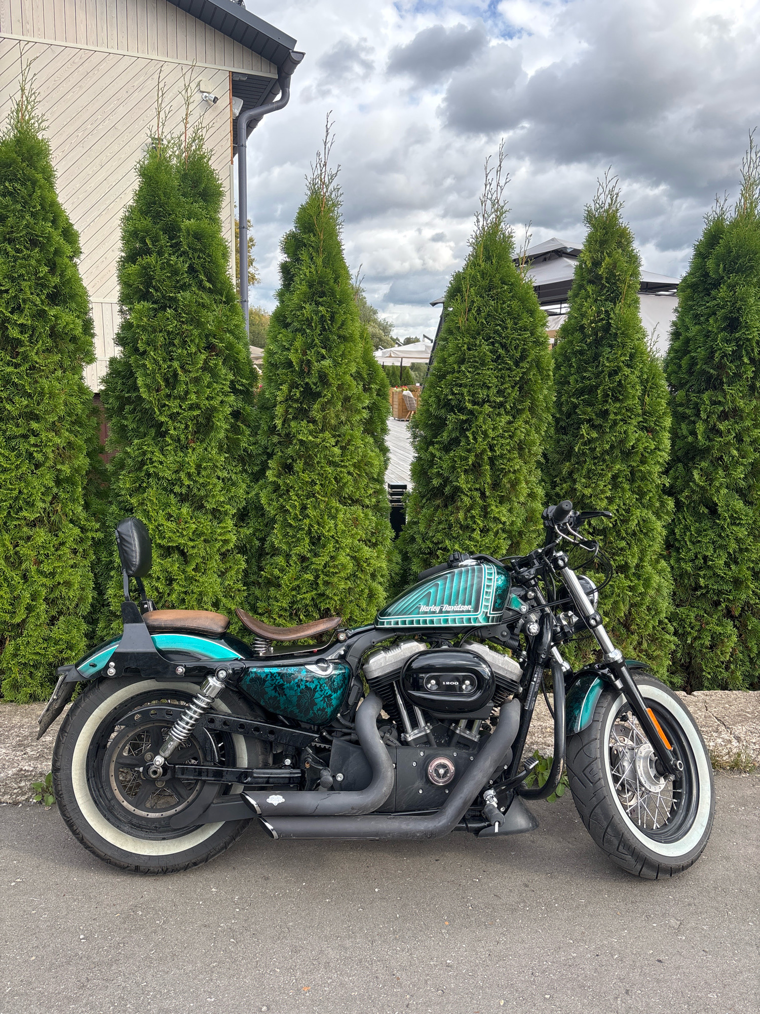 A custom Harley-Davidson Sportster motorcycle is parked on a paved surface in front of a row of manicured cypress trees and a residential building. The motorcycle features a teal and black paint job with a lace pattern on the rear fender and a teal pinstripe design on the fuel tank. It has a brown leather seat and backrest, chrome accents, and white-wall tires. The building behind the trees appears to be a house with light-colored siding and a dark-colored roof. The sky is overcast with heavy clouds. The scene suggests an outdoor setting, possibly a driveway or residential area. The presence of a security camera mounted on the building suggests a private property. The image is taken from a medium-low angle, emphasizing the motorcycle and its surroundings.