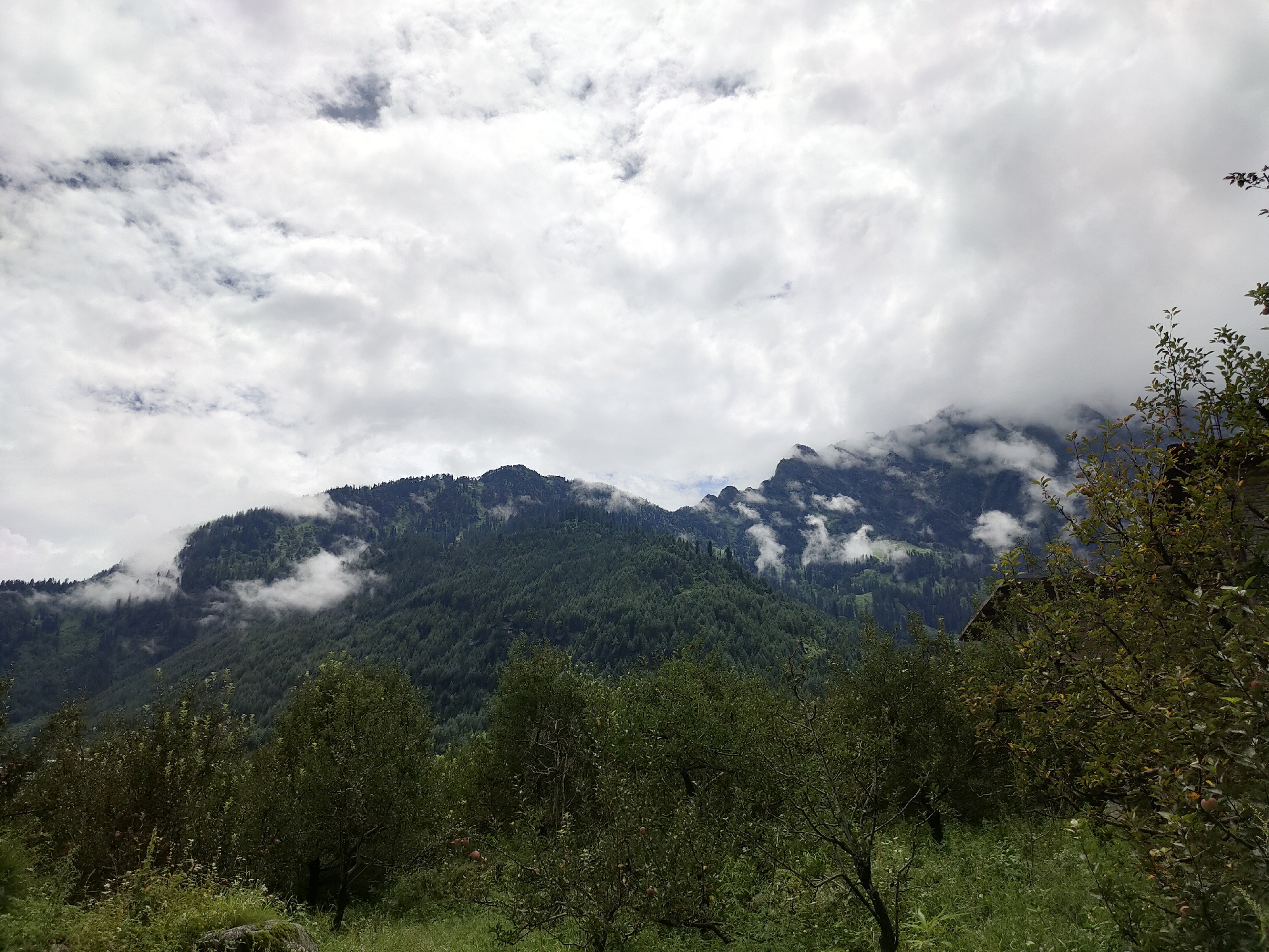 The image depicts a scenic view of lush green mountains covered in dense forest, with clouds clinging to their peaks. In the foreground, there are trees, some with visible fruit, and a patch of green grass. A small portion of a wooden structure is visible on the right side of the frame. The sky is overcast with dramatic clouds. This image was taken in Burwa, India.