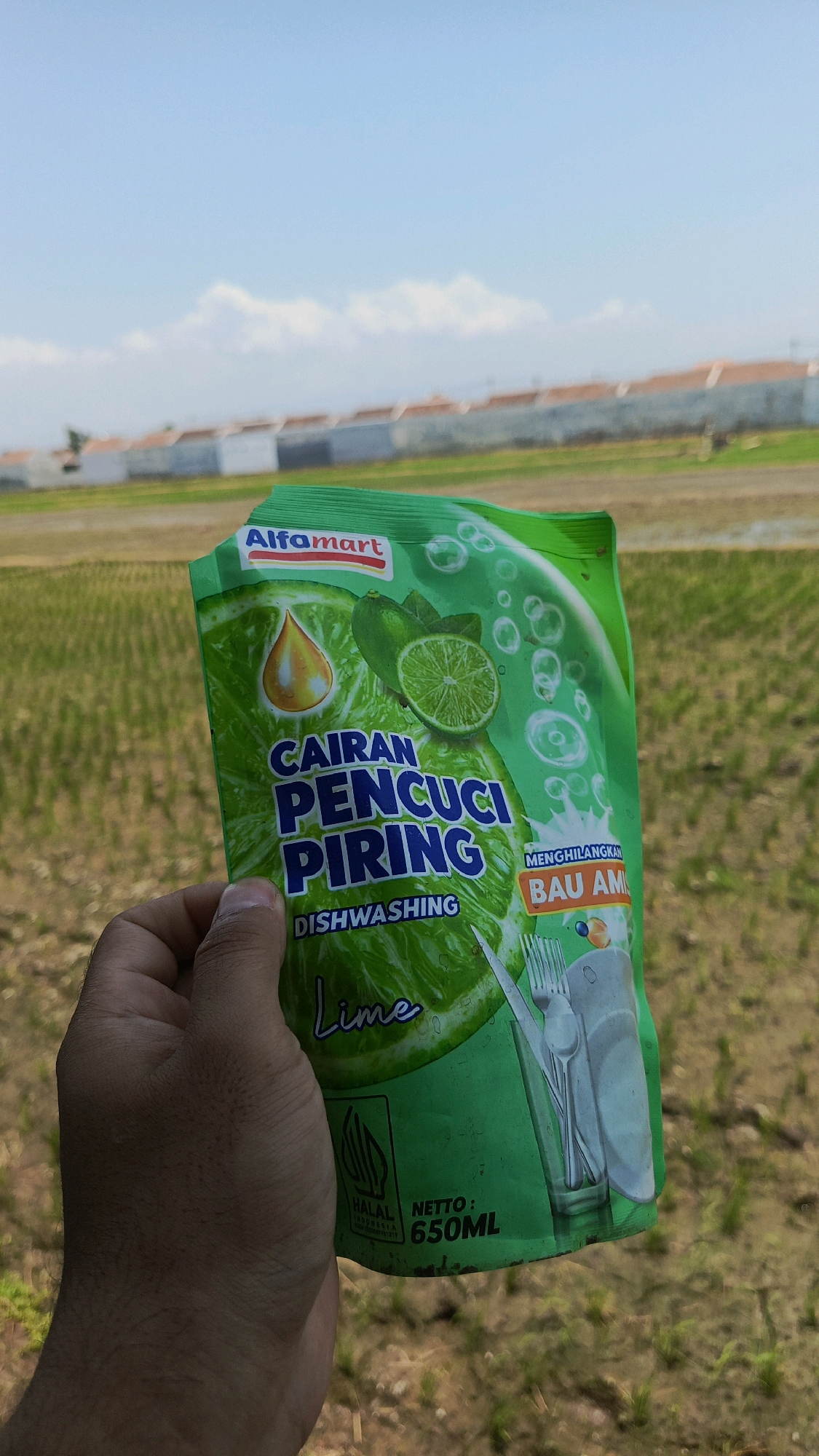 A person's hand is holding a green pouch of dishwashing liquid labeled "Alfmart" and featuring images of limes and bubbles. The pouch reads "CAIRAN PENCUCI PIRING" and "DISHWASHING" in large blue letters. Below that, "Lime" is written in cursive. The bottom of the pouch shows a "HALAL" certification and "NETTO: 650ML". In the background, there are rows of houses with orange roofs, a field of green crops, and a clear blue sky. This scene is situated in the city of Babadan, Indonesia.