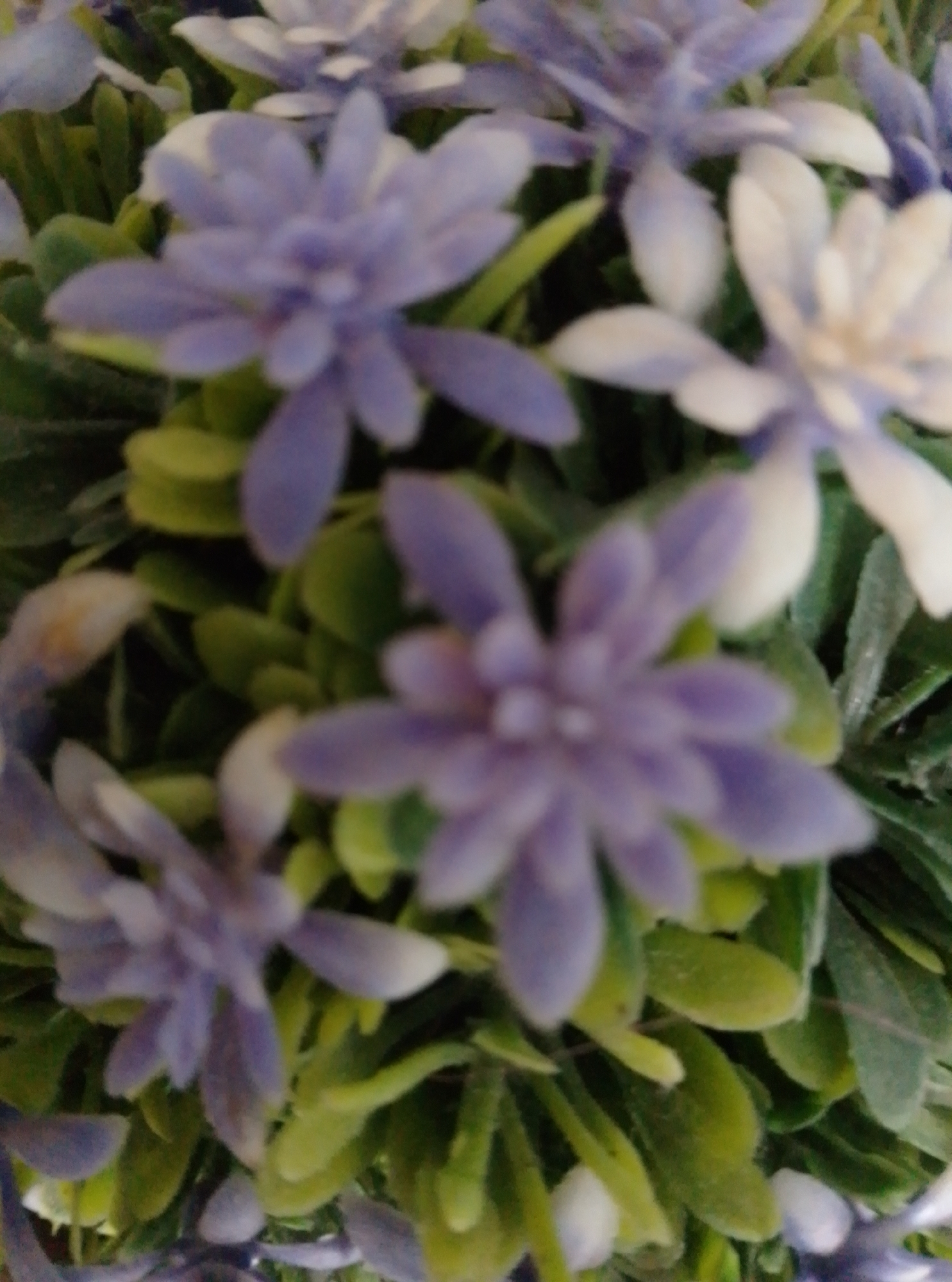 The media file shows a close-up, slightly blurry, overhead view of artificial flowers and greenery. The subjects are the flowers, which appear to be light purple and white, and the green leaves and stems of the plant. The setting is a close-up shot of what seems to be a decorative plant, possibly an artificial bouquet or floral arrangement. There are no people visible, and no specific activity or event is taking place. Notable details include the slightly out-of-focus nature of the image, which gives a soft, impressionistic feel to the flowers and foliage. The lighting appears to be ambient and diffuse, without harsh shadows. The colors are soft, with muted purples, whites, and various shades of green. There are no visible text elements in the image. The provided location context is Wedel, Germany, but there are no specific visual cues within the image that confirm this location.