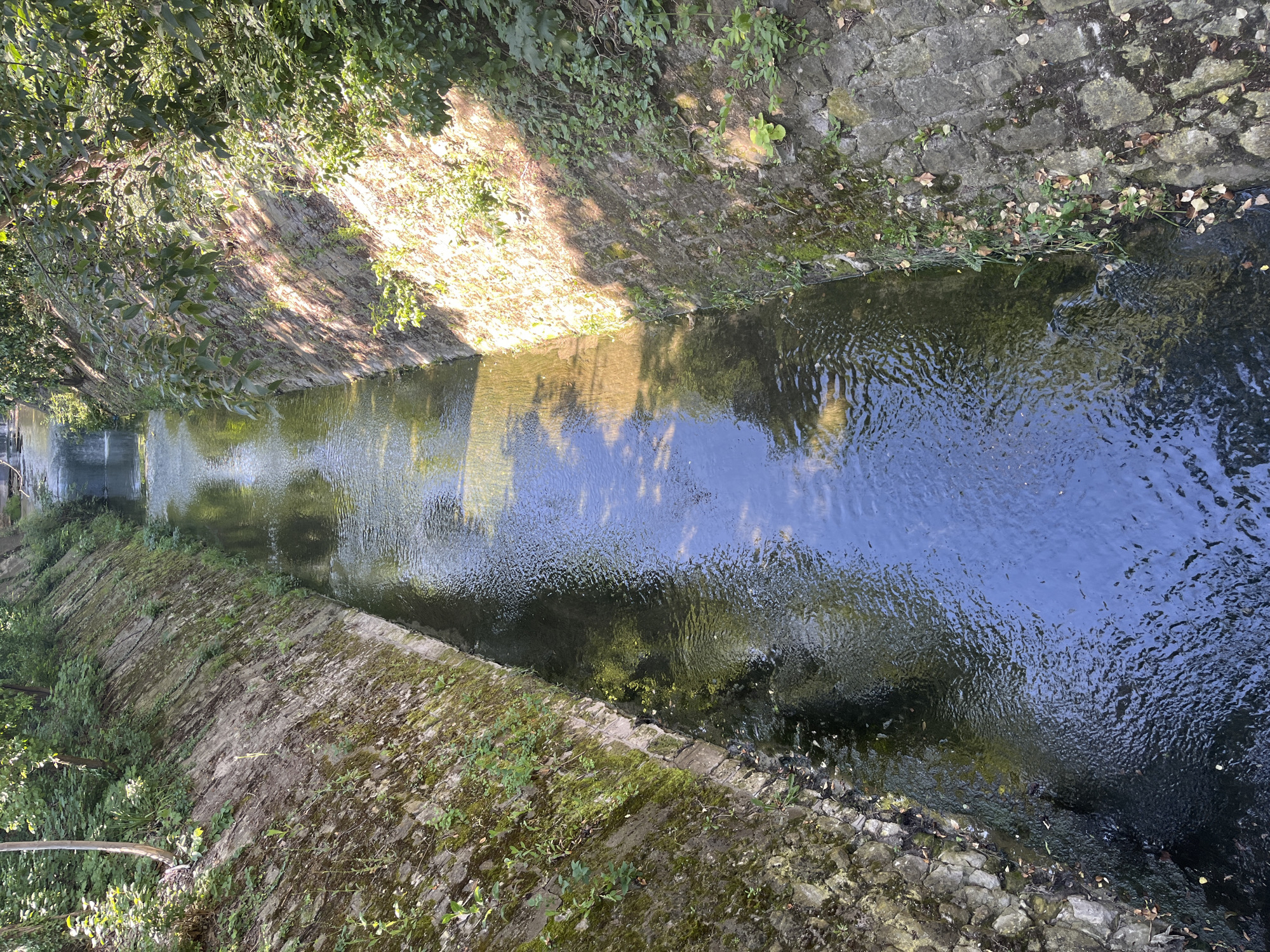 The image shows a canal with stone-lined banks, overgrown with vegetation. The canal is filled with water, reflecting the trees and sky above. The scene appears to be located in a park or a natural area within the city of Varna, Bulgaria, likely along the Varna Water Channel. There are no people or specific objects visible in the image, other than the natural elements and the constructed canal itself.