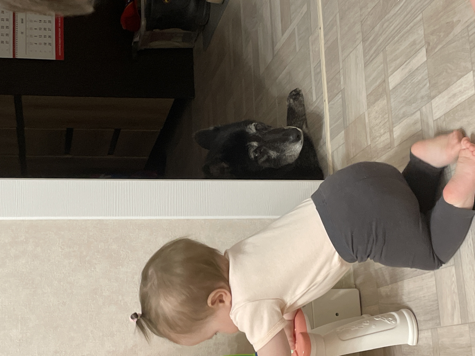 A ground-level shot depicts a baby and a dog in what appears to be a domestic setting. The baby is on its hands and knees, wearing a pale pink shirt and dark gray leggings. A small ponytail is visible on the side of their head. In the background, a black dog with some graying around the face is lying on the floor, its head visible between the baby and what appears to be a piece of furniture. The flooring consists of light gray patterned tiles.
The image may have been taken in Chaikovsky, Russia, but that is impossible to verify.