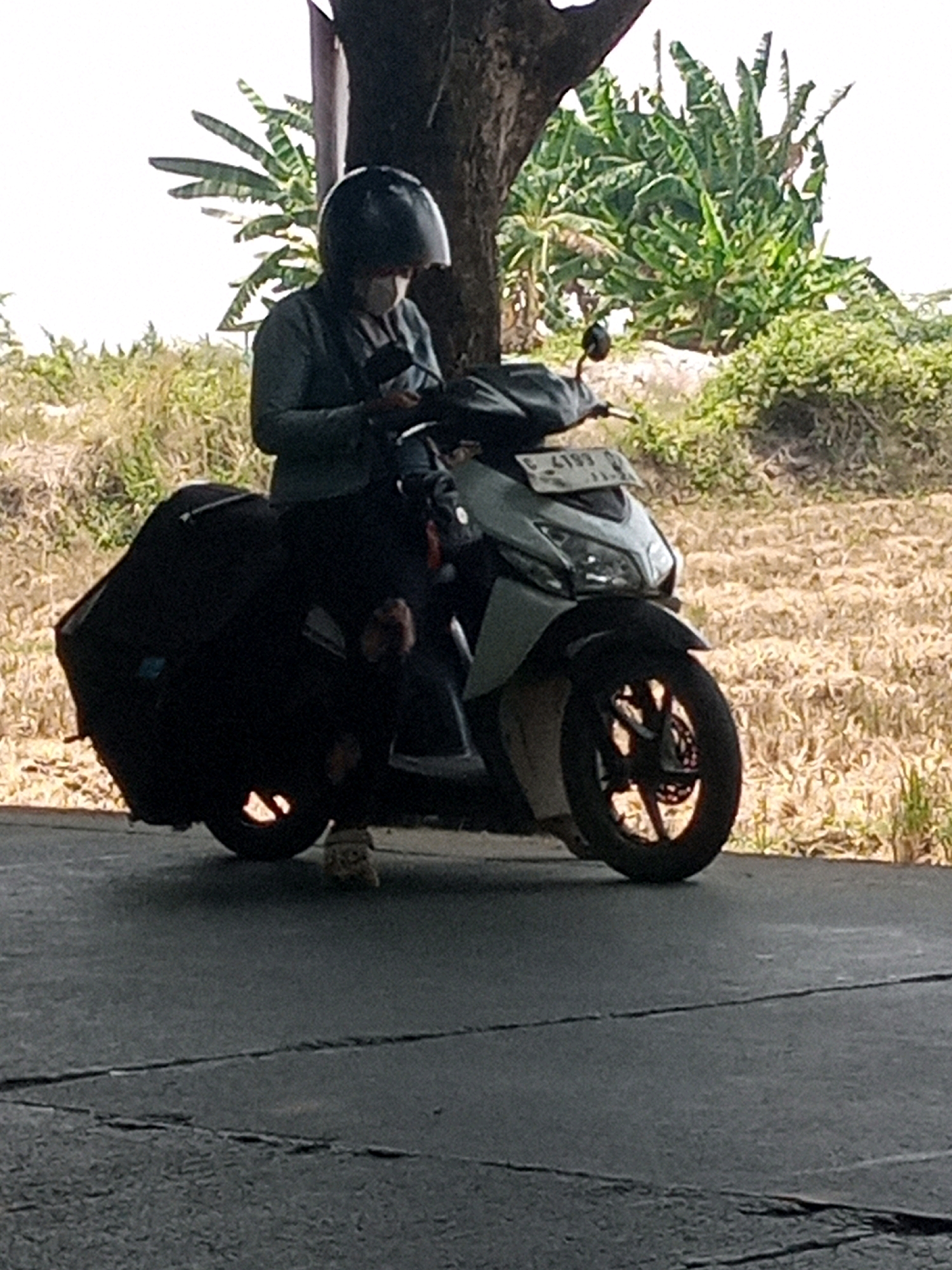 A person wearing a dark helmet and a light gray jacket is seated on a light-colored scooter, parked under a tree. The person is looking down at a mobile device in their hands. The scooter has a large black saddlebag attached to the rear. The background consists of dry, yellowed vegetation and green foliage, with a bright sky. The scooter's license plate is visible, displaying "C 4193". The scene is captured outdoors on an asphalt surface. The image does not contain any recognizable landmarks or specific details that would pinpoint a precise location within Batang, Indonesia.