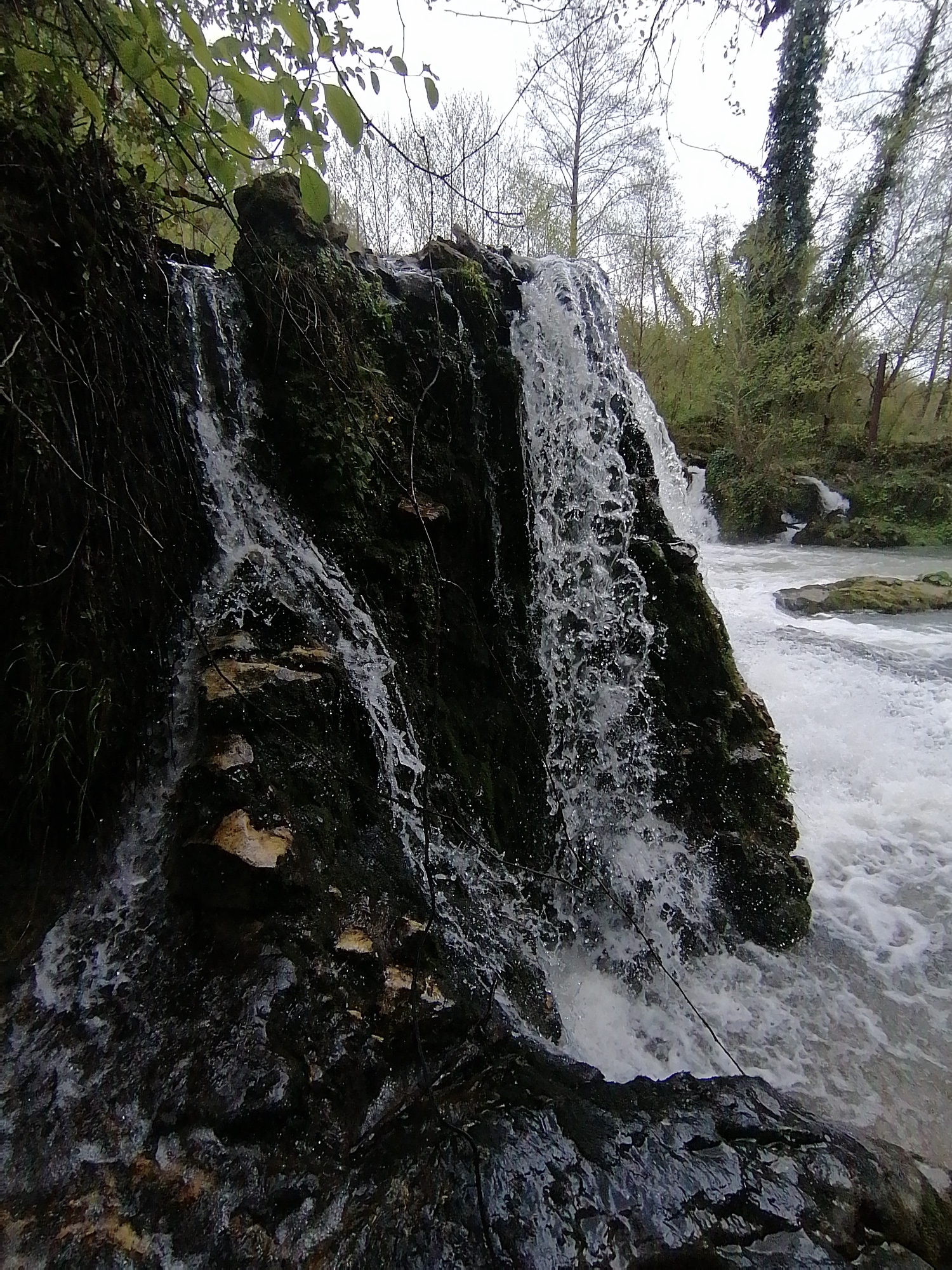 The image captures a vibrant natural scene featuring a multi-tiered waterfall cascading over dark, moss-covered rocks. The waterfall occupies the left and central foreground, with water vigorously splashing and flowing downwards, creating white foam and turbulent patterns. To the right of the main cascade, a wider river or stream with rushing water is visible, featuring smaller rapids and distant, less prominent waterfalls.
The rocks supporting the waterfall are rugged, varying in size, and heavily covered in green moss, suggesting a damp, fertile environment. Some lighter-colored rock formations or exposed stone patches are visible beneath the water. Overhanging branches with green leaves are present in the upper left, partially framing the scene, while the background reveals a woodland area with numerous trees. Many trees are bare, indicating either late autumn or early spring, though some are covered in climbing ivy, providing additional greenery. The sky appears overcast and bright white, diffusing the light evenly across the landscape. The overall atmosphere is one of natural beauty and dynamic water movement. There is no visible text in the image.