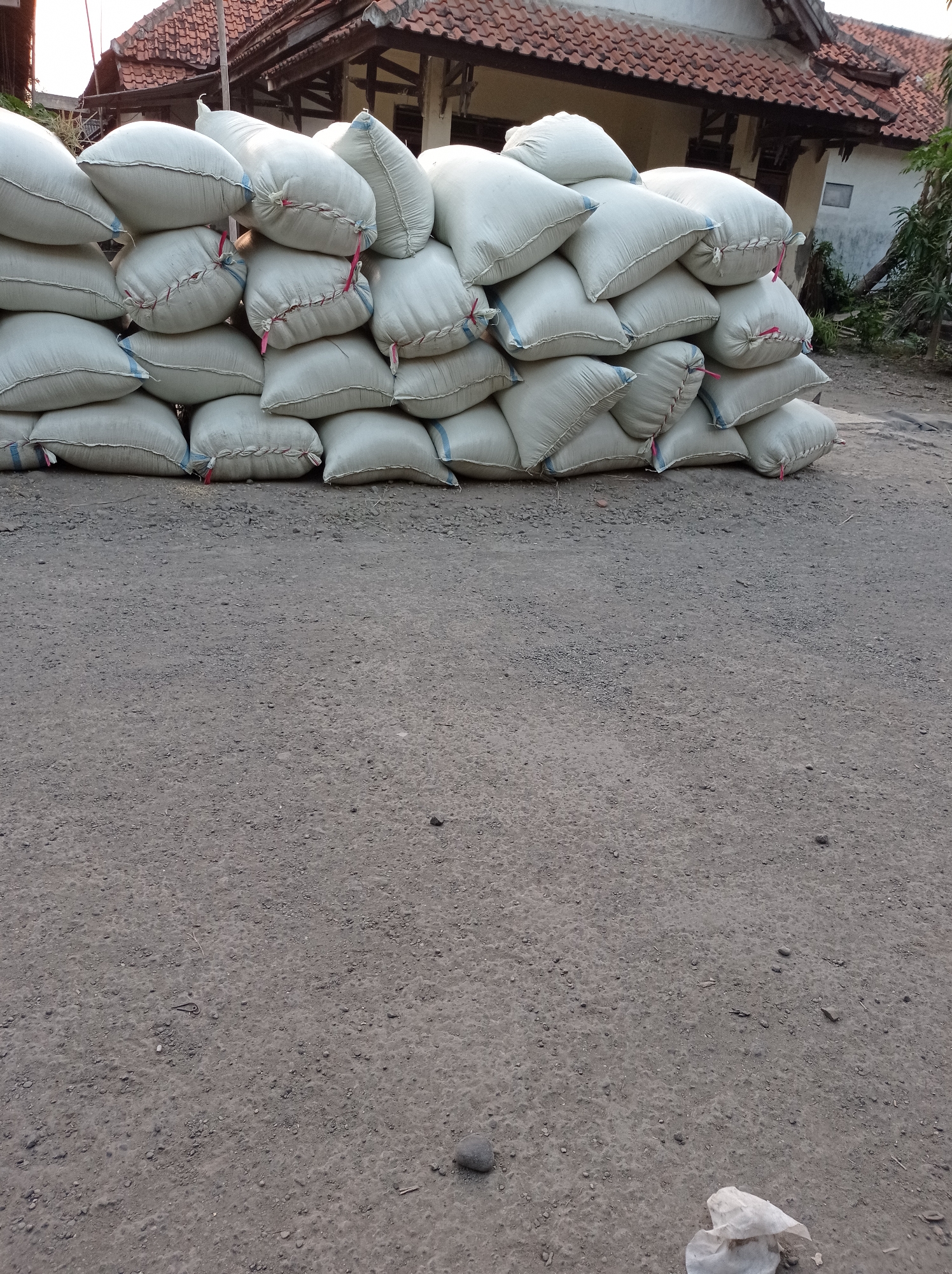 A stack of white sacks is piled on a dirt road in front of a building with a tiled roof. The sacks are tightly packed and appear to contain some kind of grain or agricultural product. The building in the background has a traditional Indonesian architectural style. The scene appears to be located in Maribaya, Indonesia, given the context provided. The sacks are tied with red and blue string. The road is unpaved and covered in loose dirt and small stones. There is some foliage and trees visible in the background.