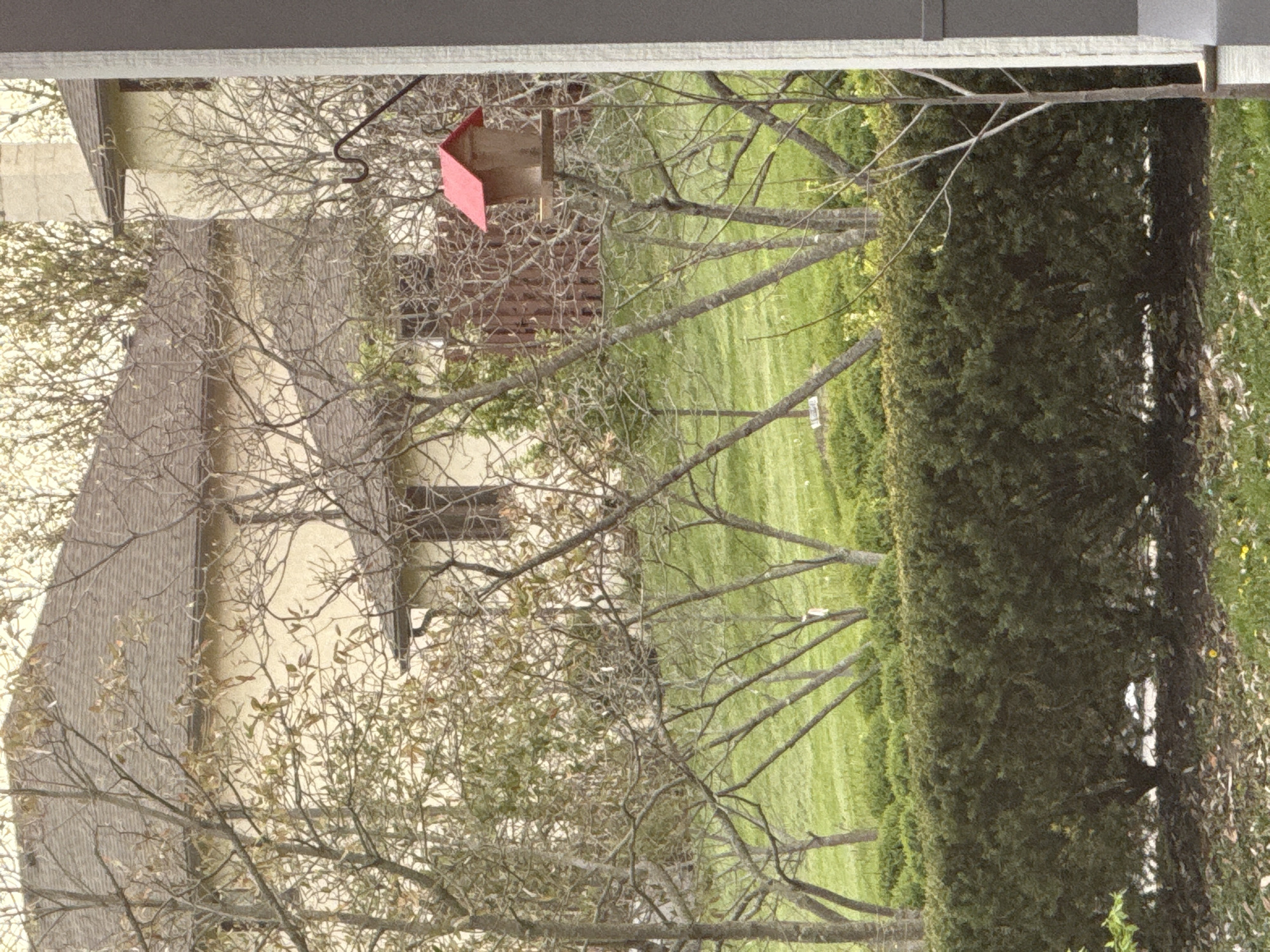 The image shows a view of a backyard or residential area, likely in a suburban or semi-rural setting within Grove City, Ohio. A house with a tan exterior and visible roof is partially obscured by leafless or sparsely-leafed trees. A bright red birdhouse is suspended from a tree branch. The lawn appears to be neatly mowed. A dense hedge runs along the property line or acts as a landscaping feature. The photo seems to have been taken from an elevated position, possibly from inside another building or higher floor of a house.