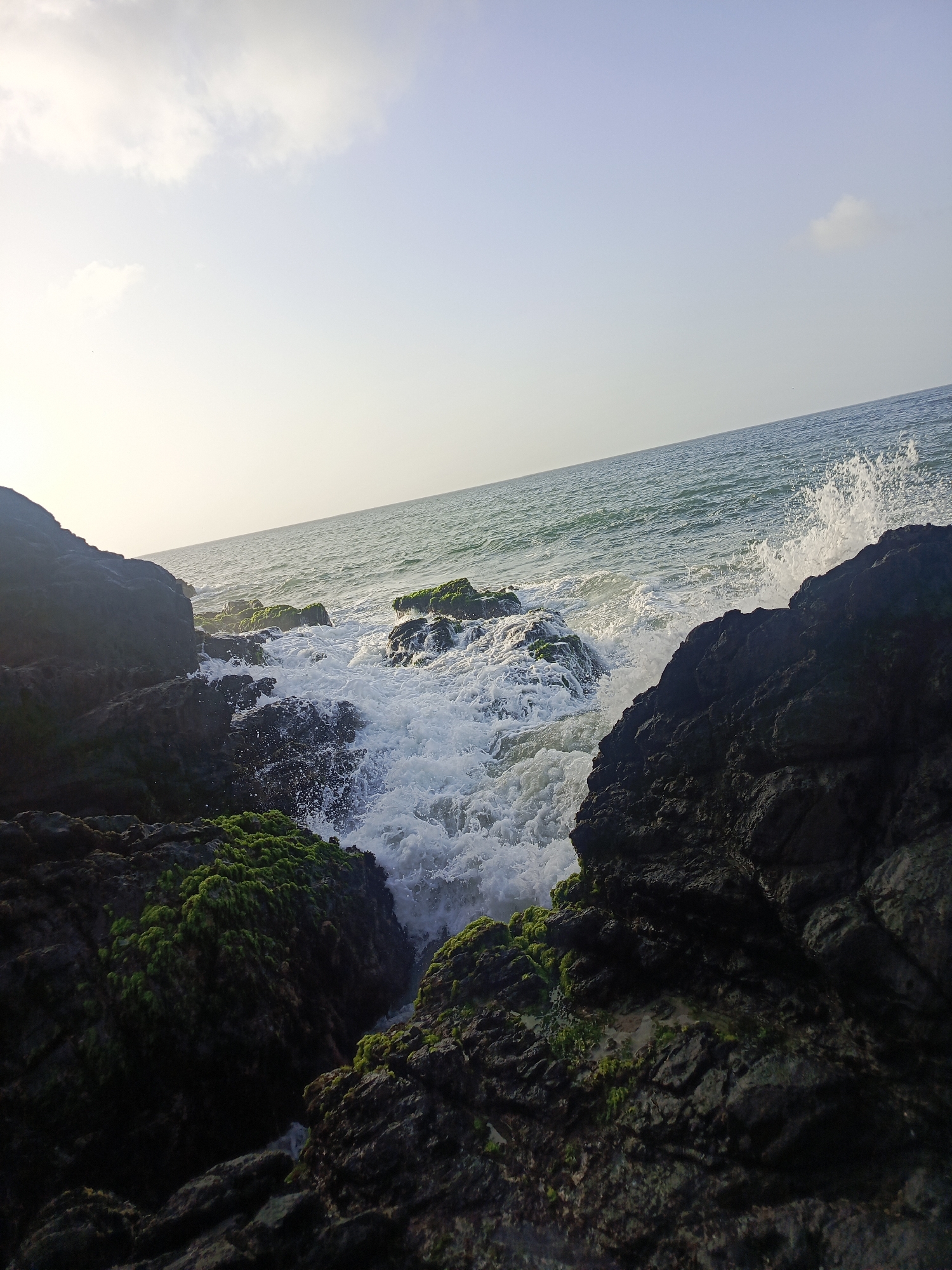 The image displays a vibrant coastal landscape in Pedro González, Venezuela, capturing the powerful interaction between the ocean and a rocky shore. Large, dark rock formations, textured and rugged, dominate the foreground and midground. Many of these rocks are partially adorned with patches of bright green moss or algae, particularly prominent on the lower left and central rocks.
Ocean waves are actively crashing against these rocks, creating a dynamic display of white, foamy water and spray in the center and right side of the frame. The sea extends into the distance, showing variations of greenish-blue water, meeting a clear horizon line. Above the horizon, the sky is bright and expansive, transitioning from a light blue to an almost white, hazy brightness on the left, suggesting strong daylight. A few faint, wispy clouds are scattered across the upper left portion of the sky.
The scene is captured during daytime, likely late morning or early afternoon, given the bright illumination. No people, animals, or discernible text are visible in the photograph, allowing the natural elements of the sea, rocks, and sky to be the sole subjects. The image conveys a sense of wild, untamed nature and the continuous energy of the ocean.