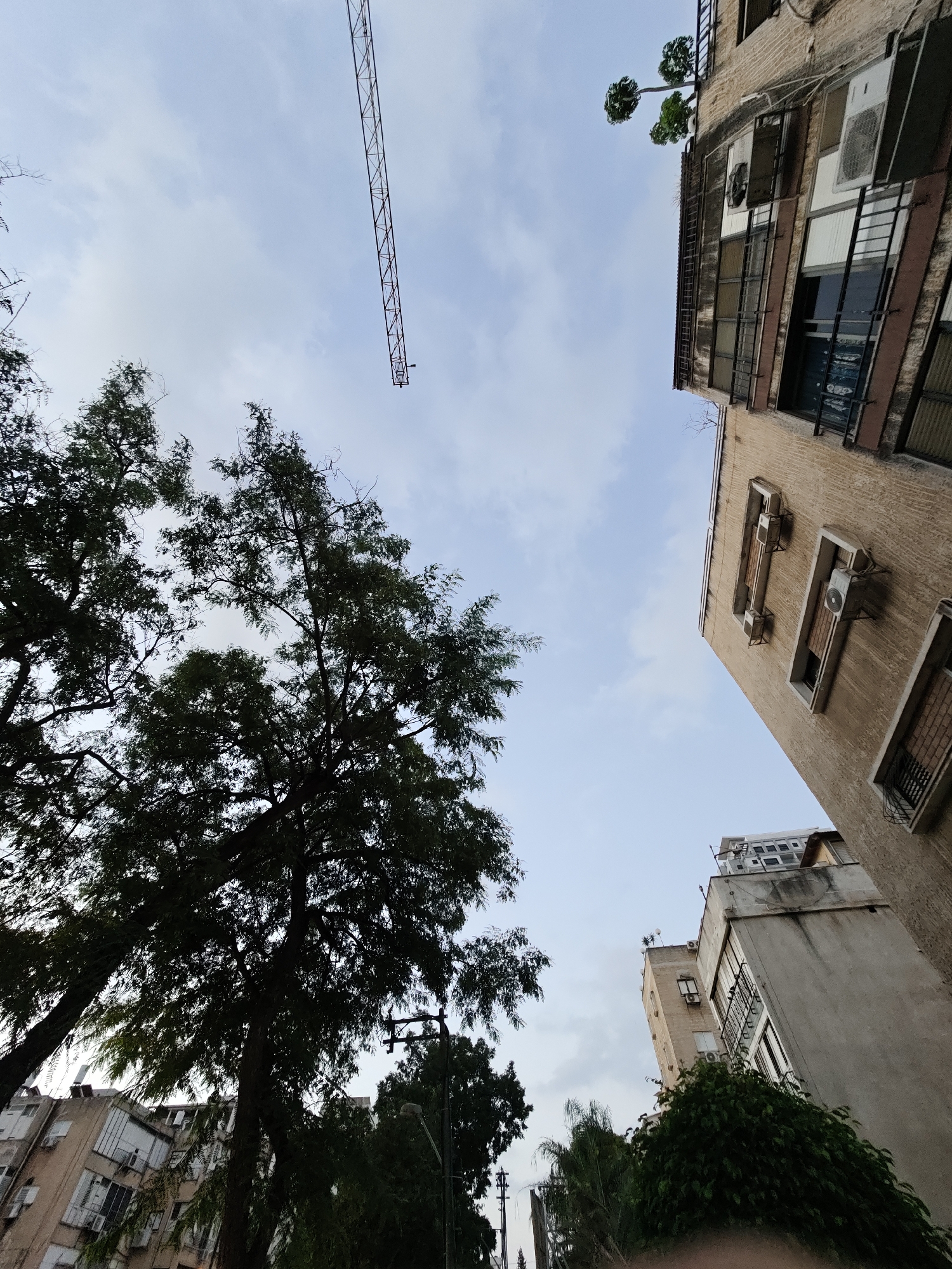 The image captures an upward view of a residential area in Petah Tikva, Israel, under a cloudy sky. In the foreground, the dark foliage of several trees dominates the left and bottom portions of the frame. Their branches and leaves obscure much of the background, creating a dappled effect.
Dominating the upper right quadrant is a multi-story apartment building with a rough, textured beige facade. Several windows, some with dark bars and others with visible glass, punctuate the building's exterior. Multiple air conditioning units are mounted on the building's walls, and some windows appear to have their shutters drawn or are obscured. A notable feature on this building is a cluster of trees growing from a ledge or balcony near its top.
Further to the right and slightly higher, another, taller building is visible. This building has a lighter, concrete-colored exterior and also features numerous windows, some with visible blinds or grates.
In the upper portion of the image, a tall, metallic structure, appearing to be a section of a construction crane, extends diagonally across the sky from the left towards the upper right. The crane's latticework structure is clearly visible against the pale blue and white sky.
Below and behind the primary apartment building, parts of other buildings are visible, including one with a white facade and rows of windows, suggesting a dense urban environment. A lamppost with wires is partially visible on the right side, adding to the urban infrastructure context.
The scene is one of a built-up urban environment with significant tree cover, indicating a residential district in Petah Tikva. The presence of a construction crane suggests ongoing development or renovation in the area. There are no people visible in the frame.