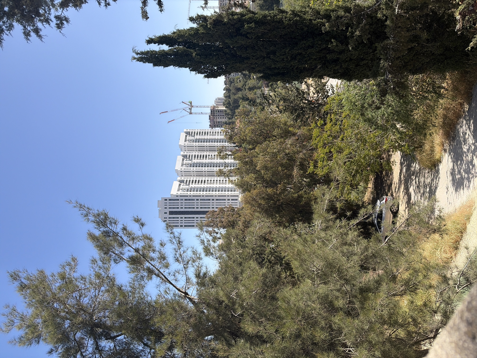 The image depicts a view of tall, modern buildings and construction cranes through the trees. The buildings are predominantly white with a grid-like facade. Two cranes are visible behind them, suggesting ongoing construction. In the foreground, there are dense trees with varying shades of green. To the right, there is a path with a parked car. The sky is clear and blue. The location appears to be urban or suburban, with modern architecture emerging among the greenery.