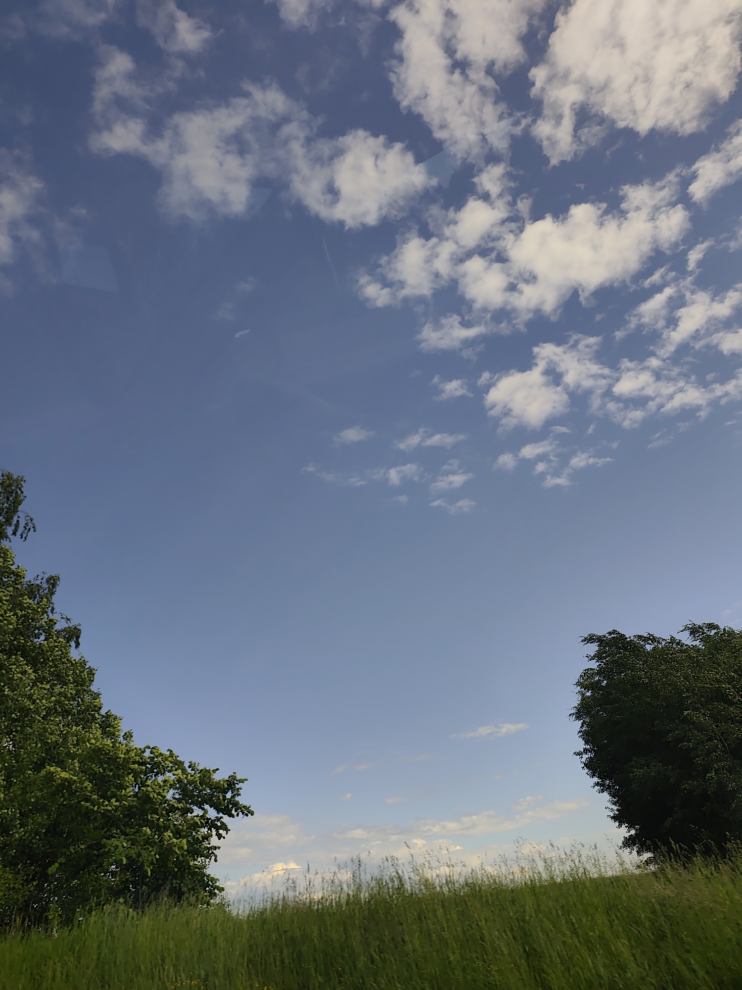 The image captures a natural landscape with a clear blue sky dotted with white clouds. In the foreground, lush green grass covers a gently sloping hill. Two trees are visible on either side of the frame: a lighter green deciduous tree on the left, with branches extending upwards, and a darker green, fuller tree on the right. The background is dominated by the sky, with a slight haze or distant cloud formation near the horizon. The scene appears to be set in a rural or park-like environment, possibly during daytime with sunlight illuminating the vegetation and clouds. The exact location within Italmas, Russia, cannot be determined from the image alone.