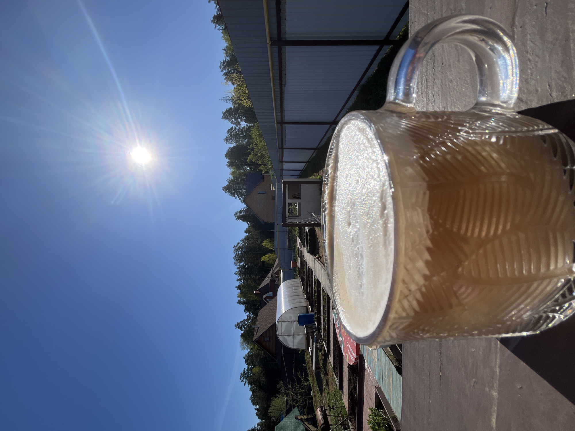 A glass mug filled with a light-colored liquid is in the foreground, right of center. The liquid has a frothy or foamy top. The mug has a textured glass pattern and a large handle. The background is sunlit. A fence stretches horizontally across the midground, with trees and building roofs visible beyond the fence. The sky is clear and blue, with the sun shining brightly on the left side of the frame. A row of garden beds is visible beneath the fence. Based on visual inspection and the provided location, the scene seems to be an outdoor setting, possibly a backyard or garden area.