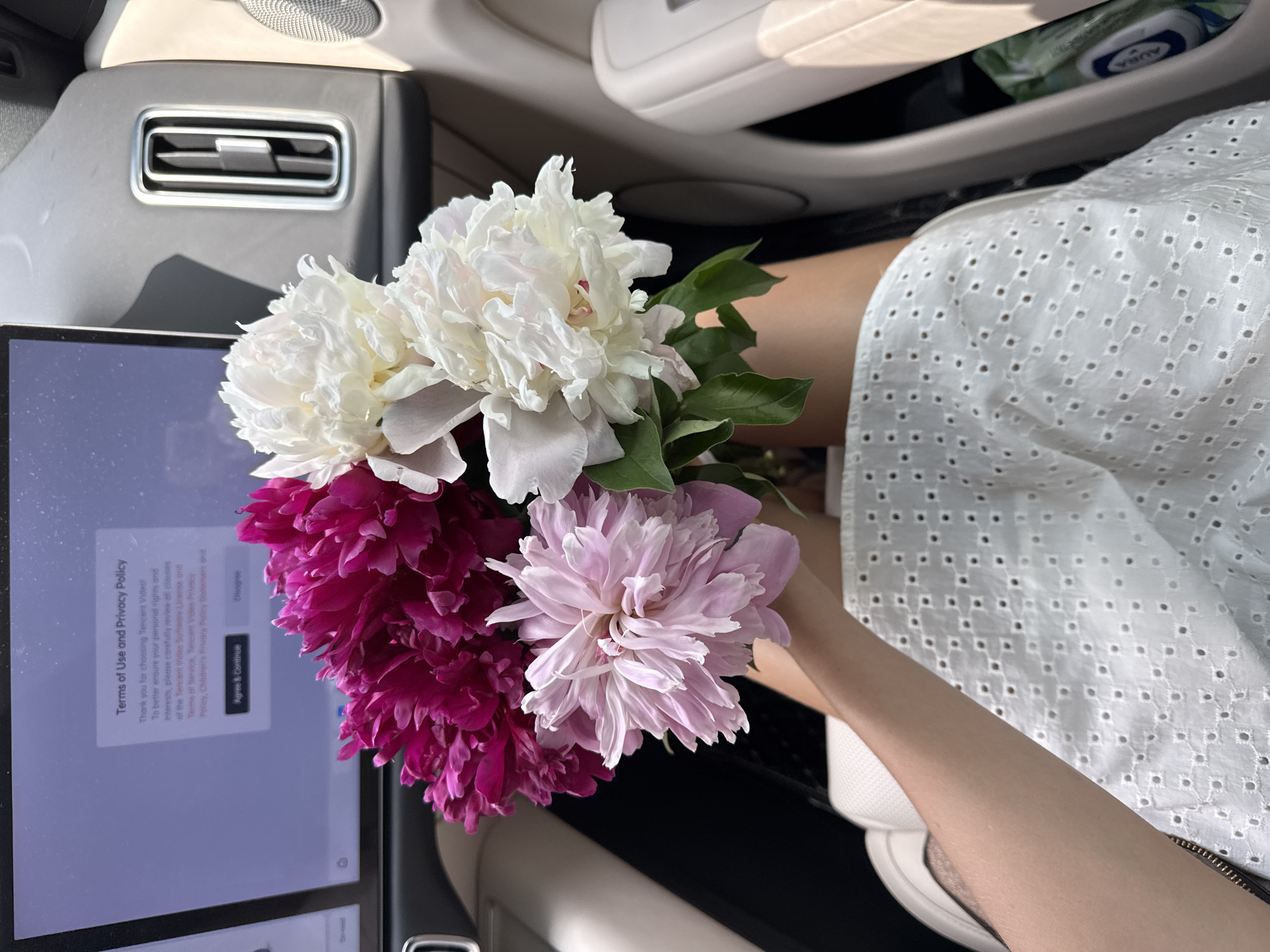 A person's arms and lap are visible in the foreground, holding a bouquet of peonies in shades of pink, magenta, and white. The person is wearing a white eyelet dress. In the background, a car's infotainment screen displays a "Terms of Use and Privacy Policy" pop-up from Tencent Video. The screen is positioned in front of a gray dashboard with an air vent. The image appears to be taken from inside the car.