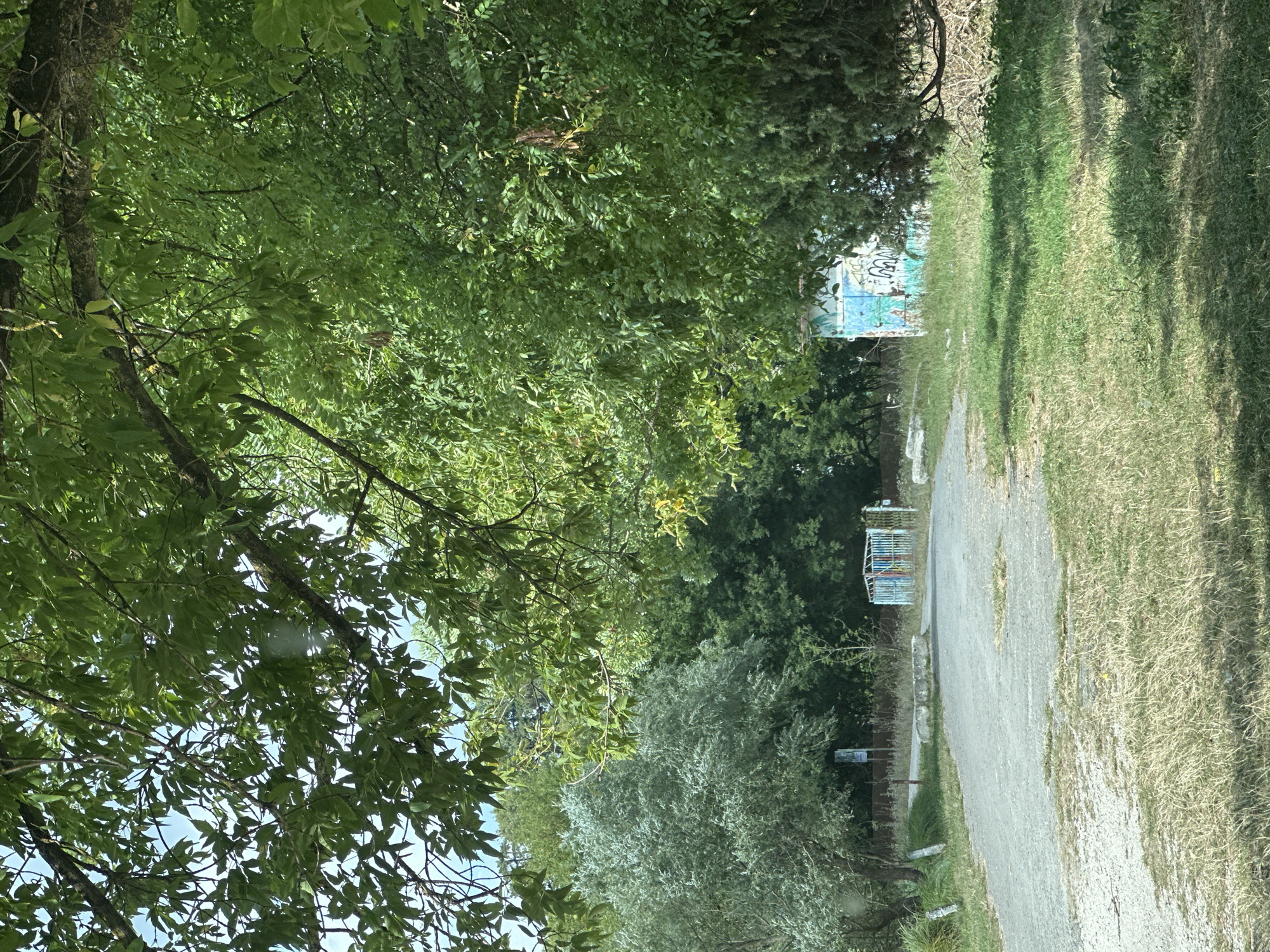 The image captures a rural scene on a sunny day, likely in or near Makiv, Ukraine. A gravel road curves into the frame, flanked by dry grass and trees. To the left, a light-colored tree with silvery leaves stands prominently. In the distance, a white structure with blue and green graffiti is visible, adjacent to a metal enclosure with vertical bars that appear to be painted with multiple colors. Trees with dense green foliage dominate the background and overhead. The overall impression is one of a somewhat overgrown, natural setting with a touch of urban decay.
