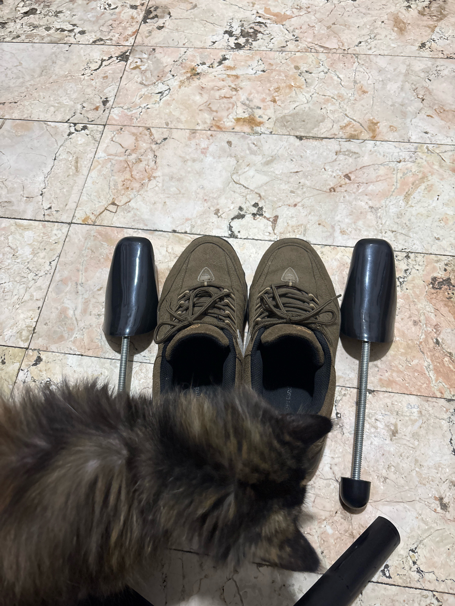 The image shows a pair of brown suede shoes with shoelaces and shoe trees on a marble-tiled floor. A fluffy cat with brown and black fur is in the foreground, obscuring the bottom left corner of the image. The cat appears to be looking at the shoes. The scene is indoors, on a floor with a light-colored marble pattern. No specific location in Bekasi, Indonesia, can be determined from the image.