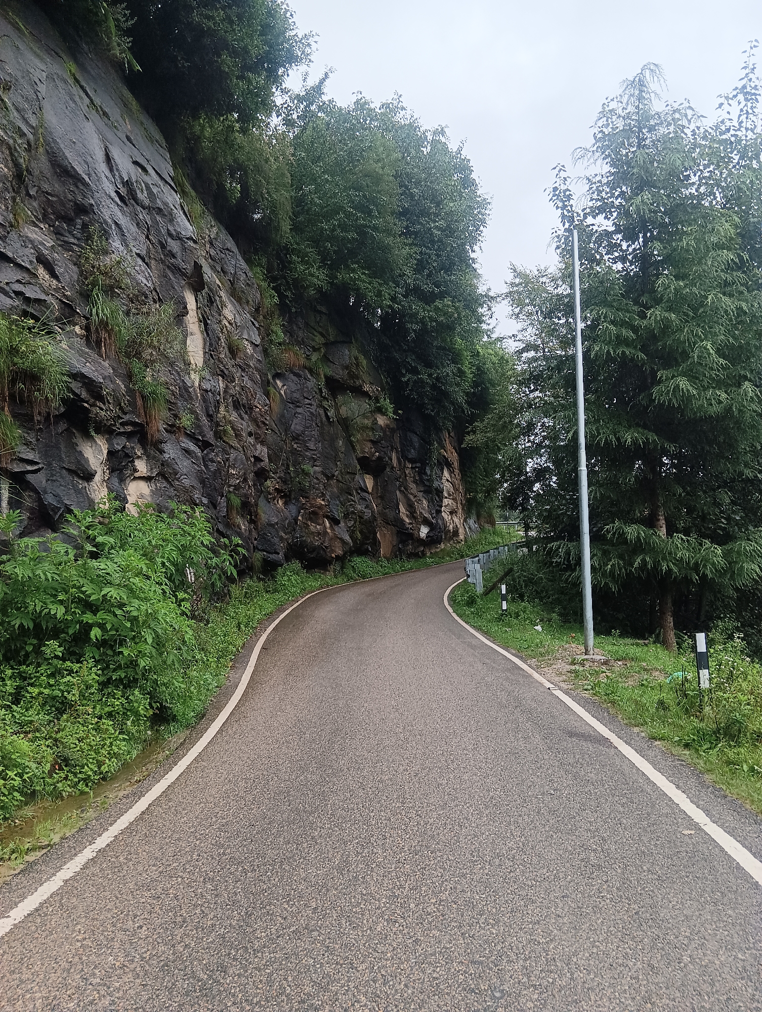 The image depicts a winding asphalt road in Goshal, India, with a steep, rocky cliff face on the left and lush green foliage on the right. The sky is overcast and cloudy. The road has a white line marking its edge. A tall, grey pole, possibly a street light or utility pole, stands near the right side of the road, surrounded by trees. Several small, black and white striped markers are visible along the roadside, which may indicate the edge of the road or a hazard. The vegetation on the cliff is sparse, with some grass and small plants clinging to the rocks. The trees on the right are tall and dense, with a mix of coniferous and deciduous varieties. The overall impression is of a remote, natural landscape accessed by a paved road.