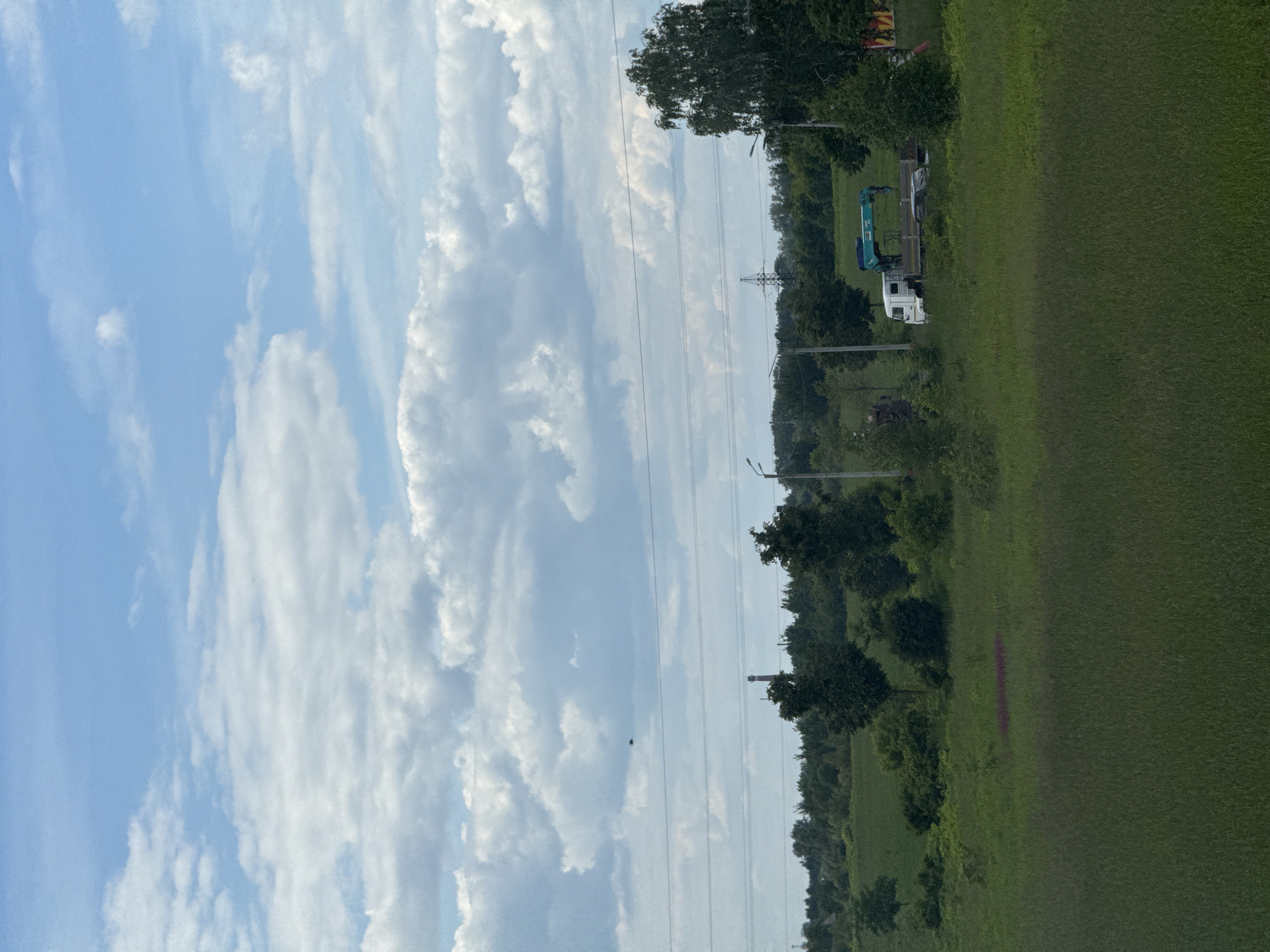 A panoramic landscape oriented horizontally depicts a bright, cloudy sky dominating the left side, transitioning to a green field and a line of trees on the right. The sky features numerous white and grey stratocumulus clouds, indicating fair weather during daytime, likely late morning or afternoon.
The right side of the image is largely covered by a vast expanse of green grass or a field, with a denser line of trees and foliage forming a natural horizon in the middle distance. Scattered within the field, particularly visible in a close-up, are some reddish-purple patches of small plants or flowers.
Running horizontally across the mid-ground are several thin power lines, supported by various utility poles. A prominent metal power pylon stands tall in the distance, centered along the line of trees. Further in the background, a faint outline of another industrial-like structure, possibly a water tower, can be discerned.
In the mid-ground, on the green field, a white flatbed truck equipped with a blue hydraulic knuckle boom crane is parked. The crane arm is folded and resting on the truck bed. No people are visible. A small, dark, indistinct object, possibly a bird or insect, is seen against the sky near the power lines. There is no discernible text visible on any object. The scene presents a calm, semi-rural setting.