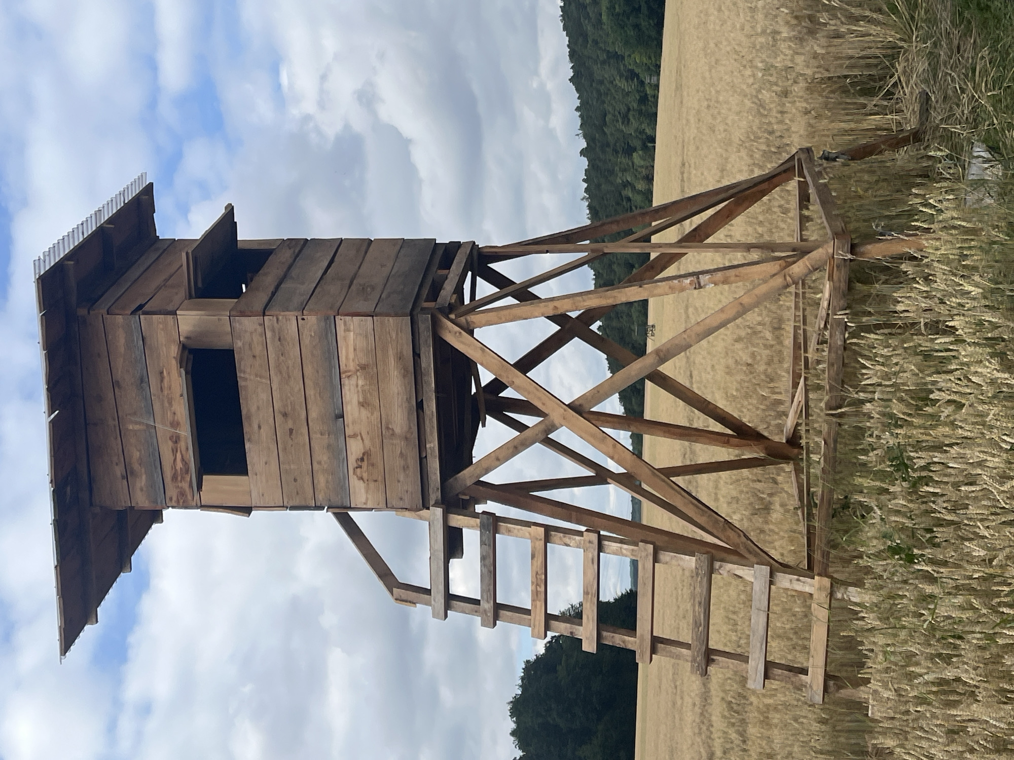 A tall, wooden hunting blind stands in a field of wheat, likely near Neustadt, Germany. The blind is constructed from rough-hewn wooden planks and supported by a sturdy, X-braced wooden frame. A wooden ladder leads up to the elevated platform of the blind. The blind has two openings on its upper section, serving as windows. The roof of the blind appears to be made of corrugated plastic. The field of wheat stretches out in all directions, with a line of trees forming the horizon in the background. The sky is partly cloudy, with a mixture of blue sky and grey clouds. No people are visible in the image.