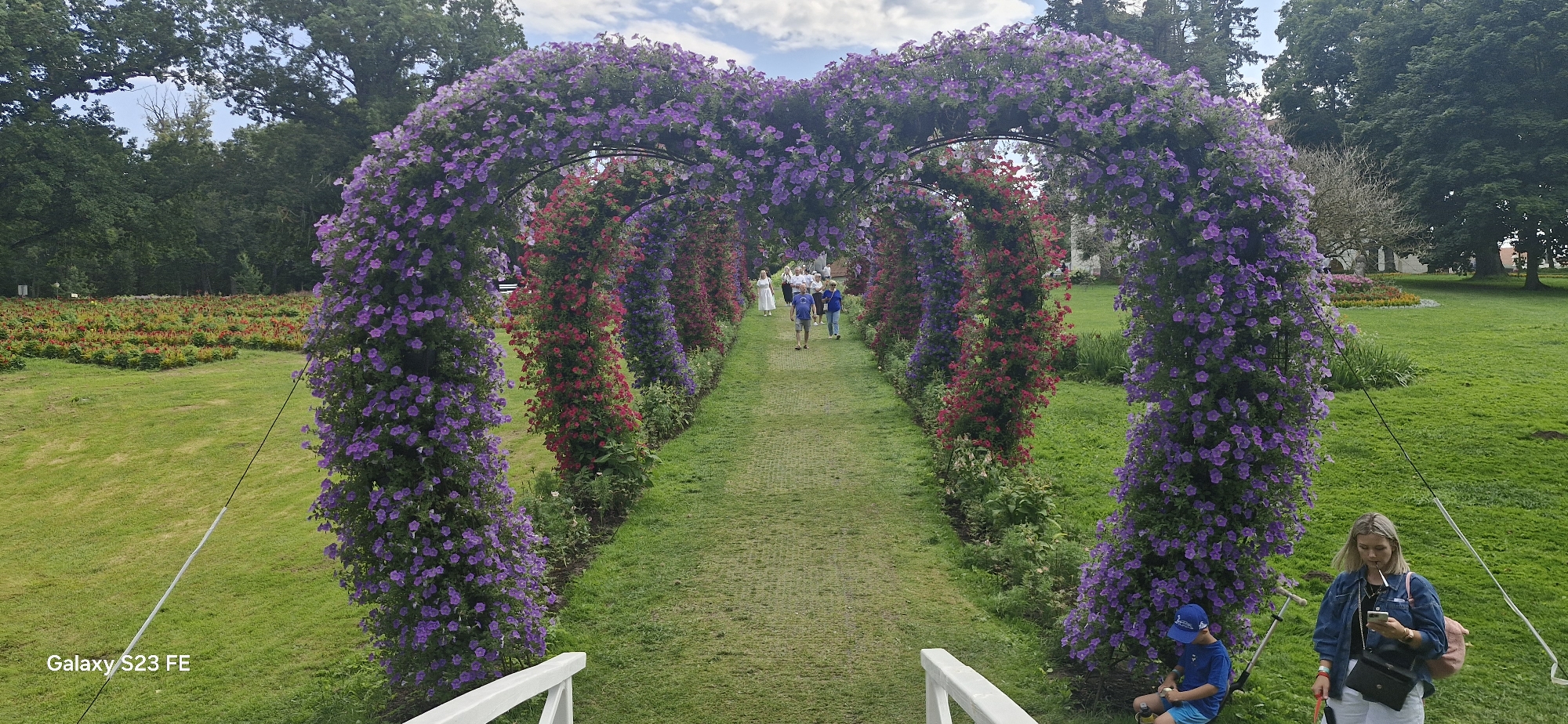 The image depicts a vibrant floral archway, forming a heart shape, leading down a pathway in what appears to be a park or garden. The archway is densely covered with purple flowers, with red and purple flowers lining the sides of the pathway. Several people are walking along the path, and a woman with a pink backpack is standing near the foreground on the right, looking at her phone. A young boy in a blue cap and shorts is sitting on the grass to the left of the woman. The background shows lush green grass, mature trees, and a flower bed in the distance. The scene is illuminated by daylight, under a cloudy sky. The watermark "Galaxy S23 FE" is visible in the lower left corner, indicating the device used to capture the image. This scene is located in Pakruojis, Lithuania, at the Pakruojis Manor, renowned for its extensive gardens and floral displays, particularly its famous rose garden and seasonal floral arrangements.