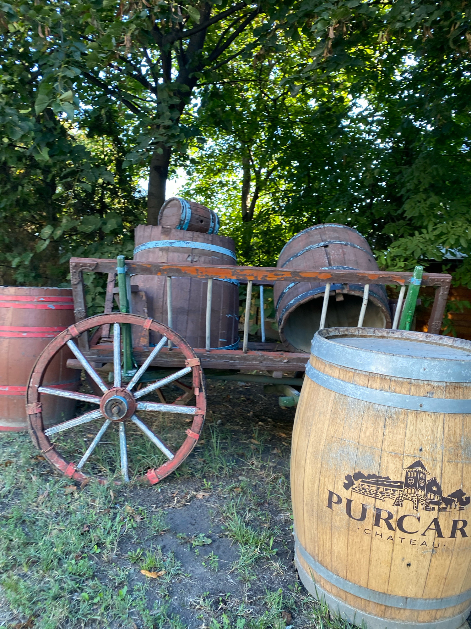The image depicts an outdoor scene featuring several wooden barrels and a rustic cart with a large wheel. In the foreground, a light-colored wooden barrel is prominently displayed, bearing the embossed text "PURCAR CHATEAU" along with an illustration of a building. To the left of this barrel, partially visible, is another larger, dark red barrel with red bands. Behind these, a weathered wooden cart is positioned, holding two large, dark brown barrels. One barrel is lying horizontally on the cart, while another is standing upright. A large, spoked wooden wheel with red and blue accents is attached to the side of the cart. The background is filled with lush green trees and foliage, suggesting a natural, possibly park-like setting. The ground is covered with grass and some dry leaves. There are no people visible in the image. The overall impression is one of rustic charm and perhaps a historical or agricultural theme related to winemaking or storage. This scene could be located in the city of Chișinău, Moldova, where vineyards and wine production are significant.