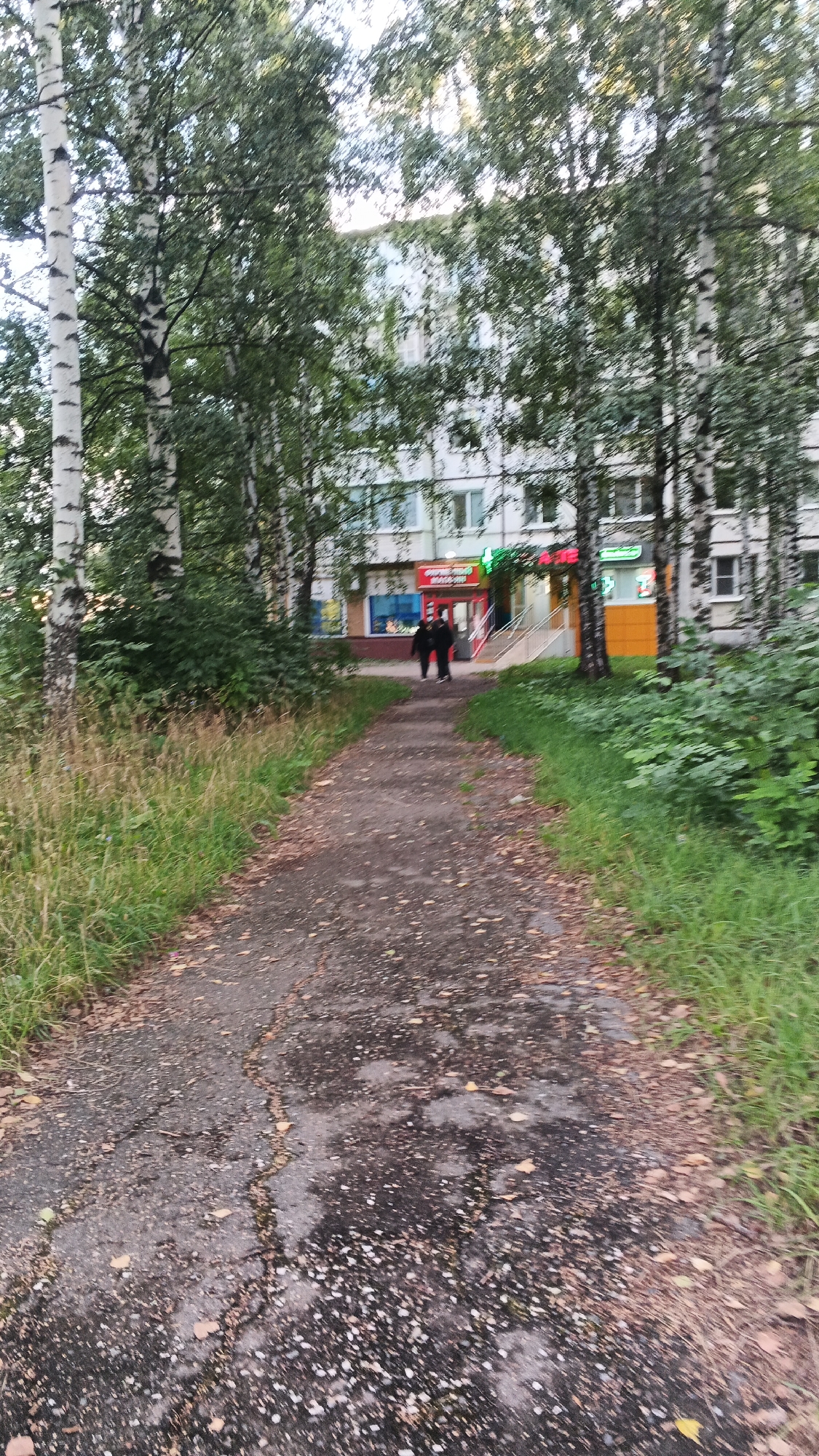 The image depicts a paved pathway leading towards a modern, multi-story building with an entrance. Two individuals, dressed in dark clothing, are walking away from the camera on the pathway. The pathway is lined with green grass and trees, and there are fallen leaves scattered on the ground, suggesting an autumn season. The building appears to be a commercial establishment, indicated by visible signage above the entrance. The overall scene is an outdoor urban environment, likely a residential area in Izhevsk, Russia, given the architectural style and vegetation.